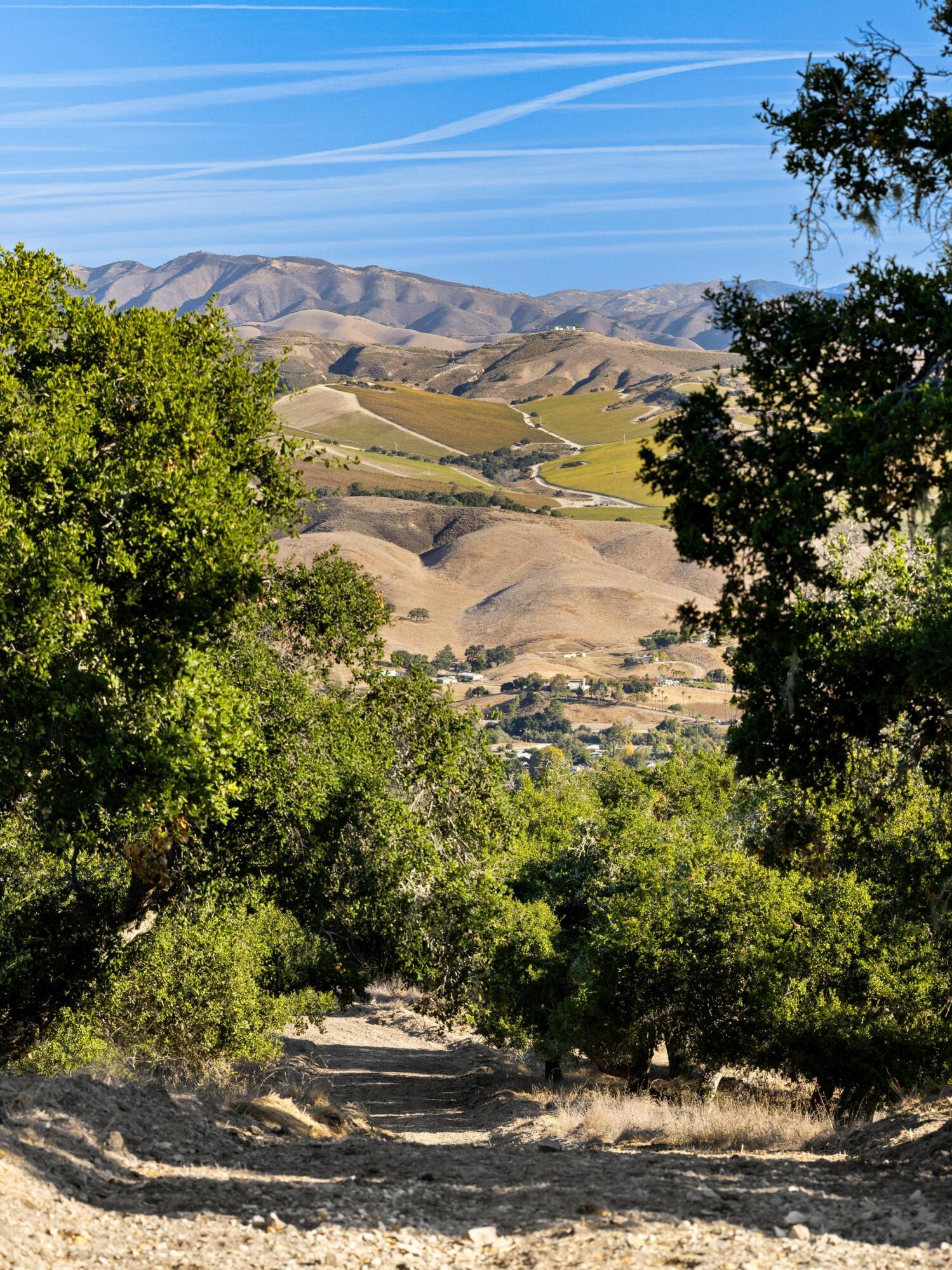 Los Alamos, California 93440, United States, ,Land,Active,41591