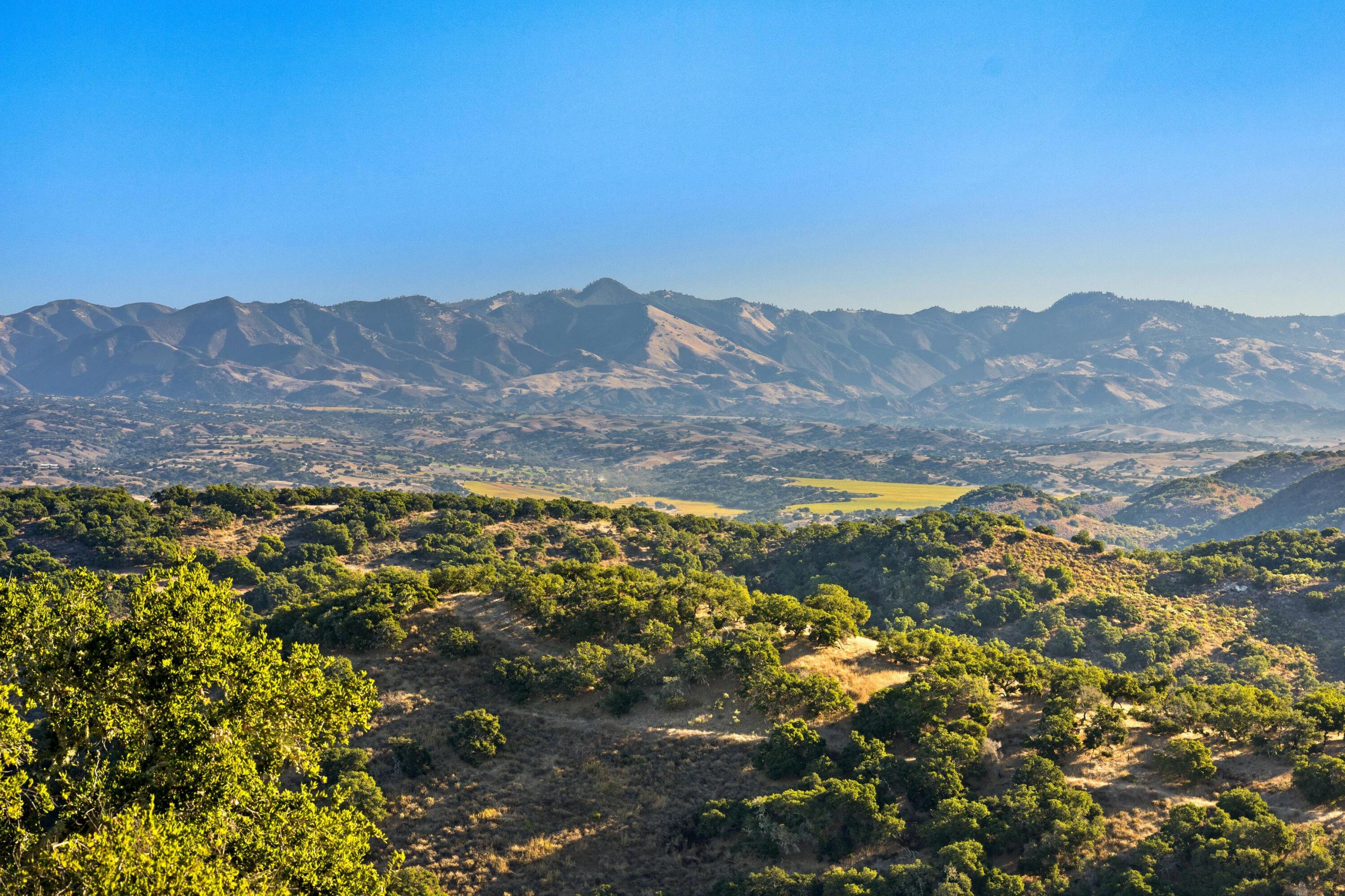 Los Alamos, California 93440, United States, ,Land,Active,41591