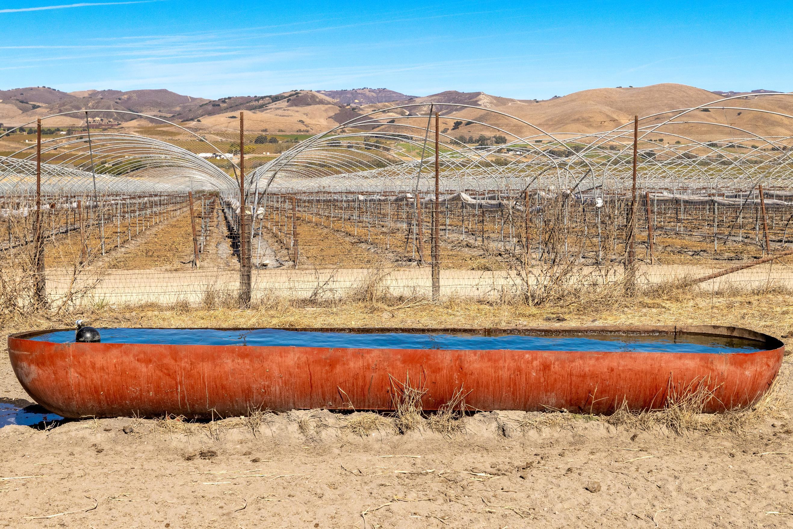 Los Alamos, California 93440, United States, ,Land,Active,41591