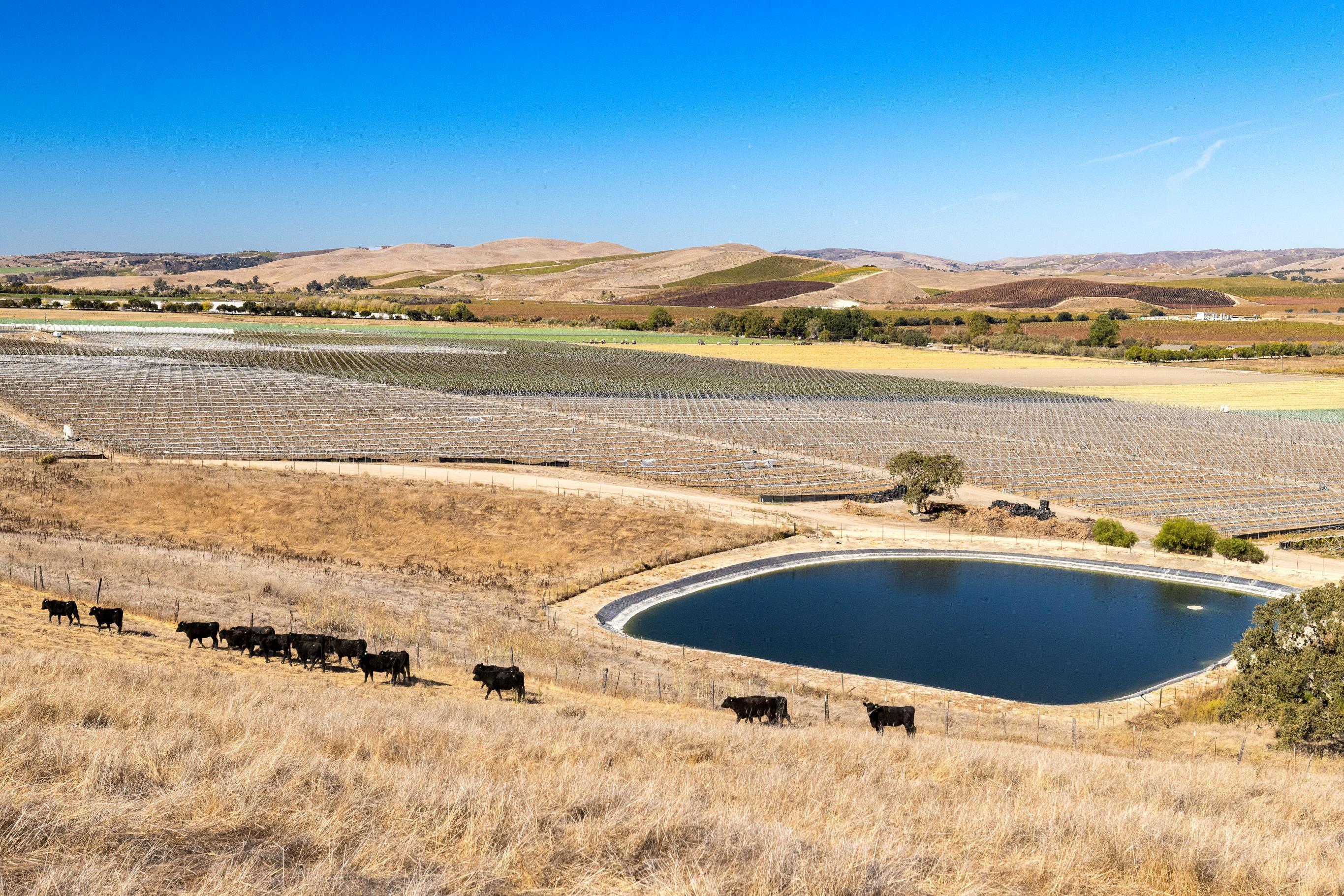 Los Alamos, California 93440, United States, ,Land,Active,41591