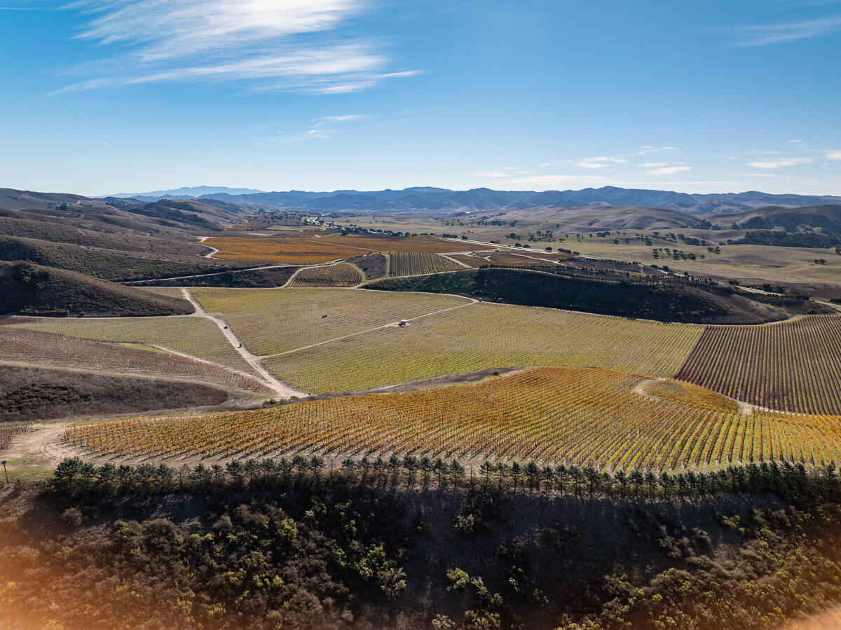 Santa Maria, California 93454, United States, ,Commercial,Active,22056