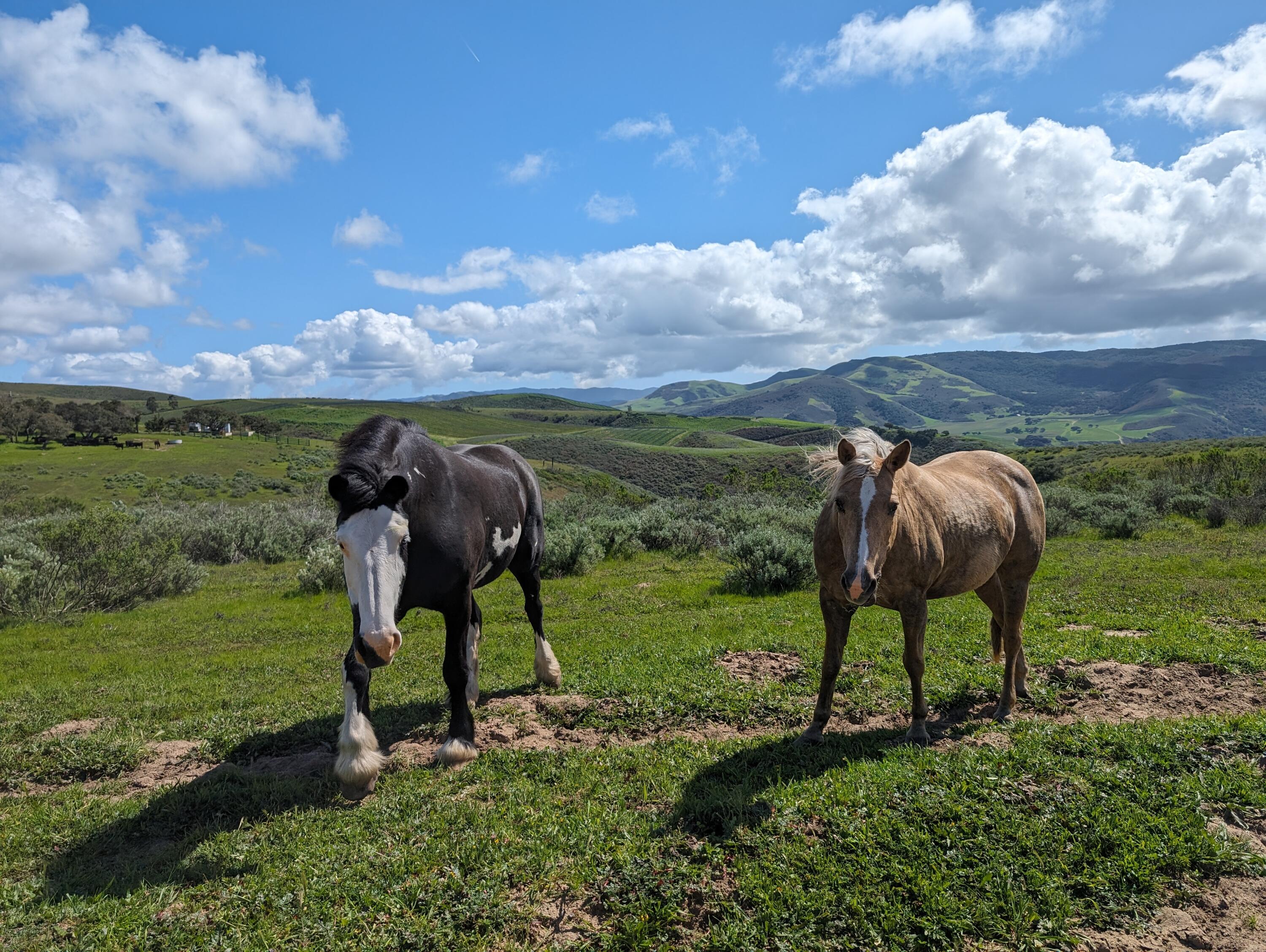 Lompoc, California 93436, United States, ,Land,Active,75201