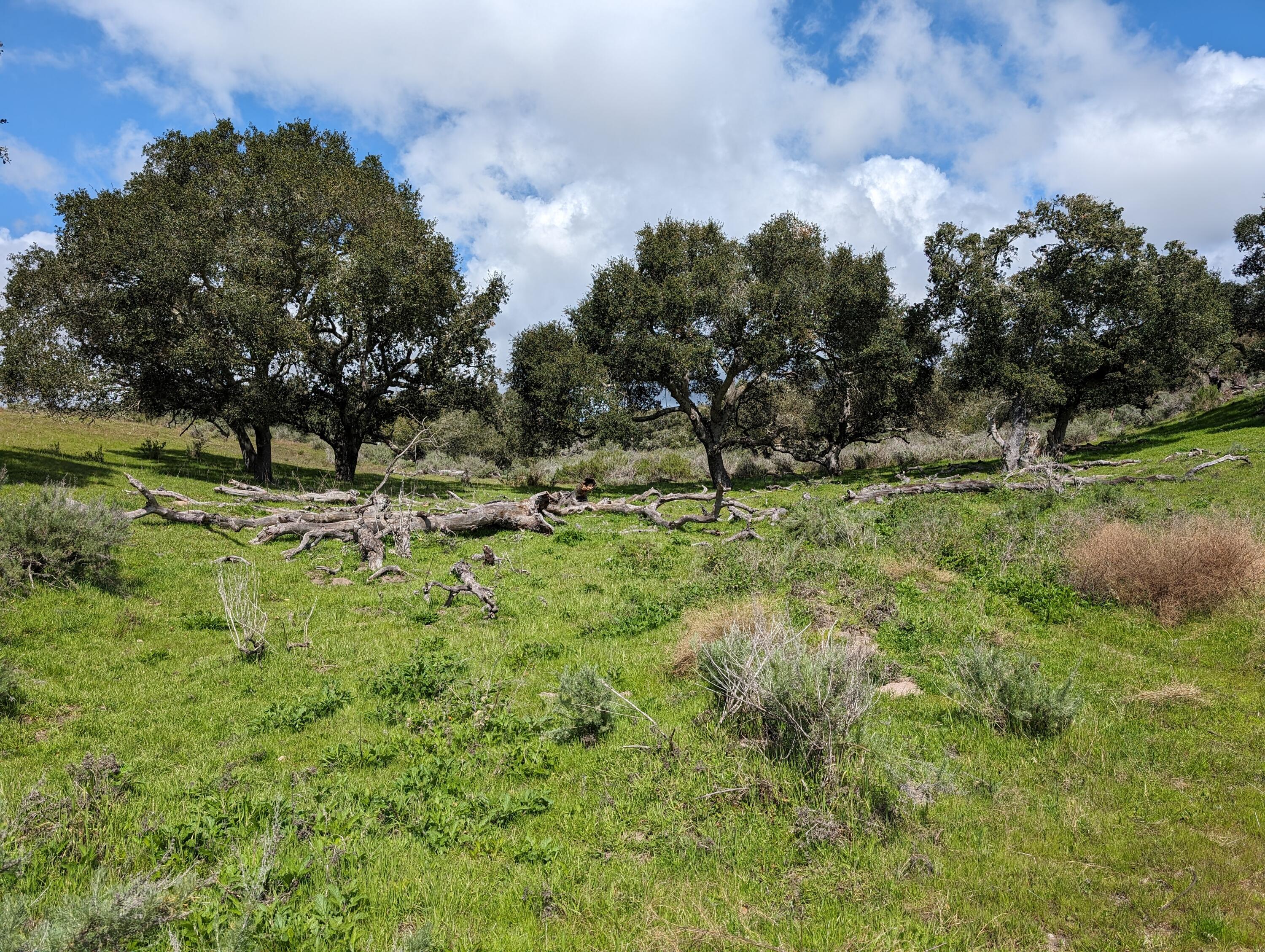 Lompoc, California 93436, United States, ,Land,Active,75201