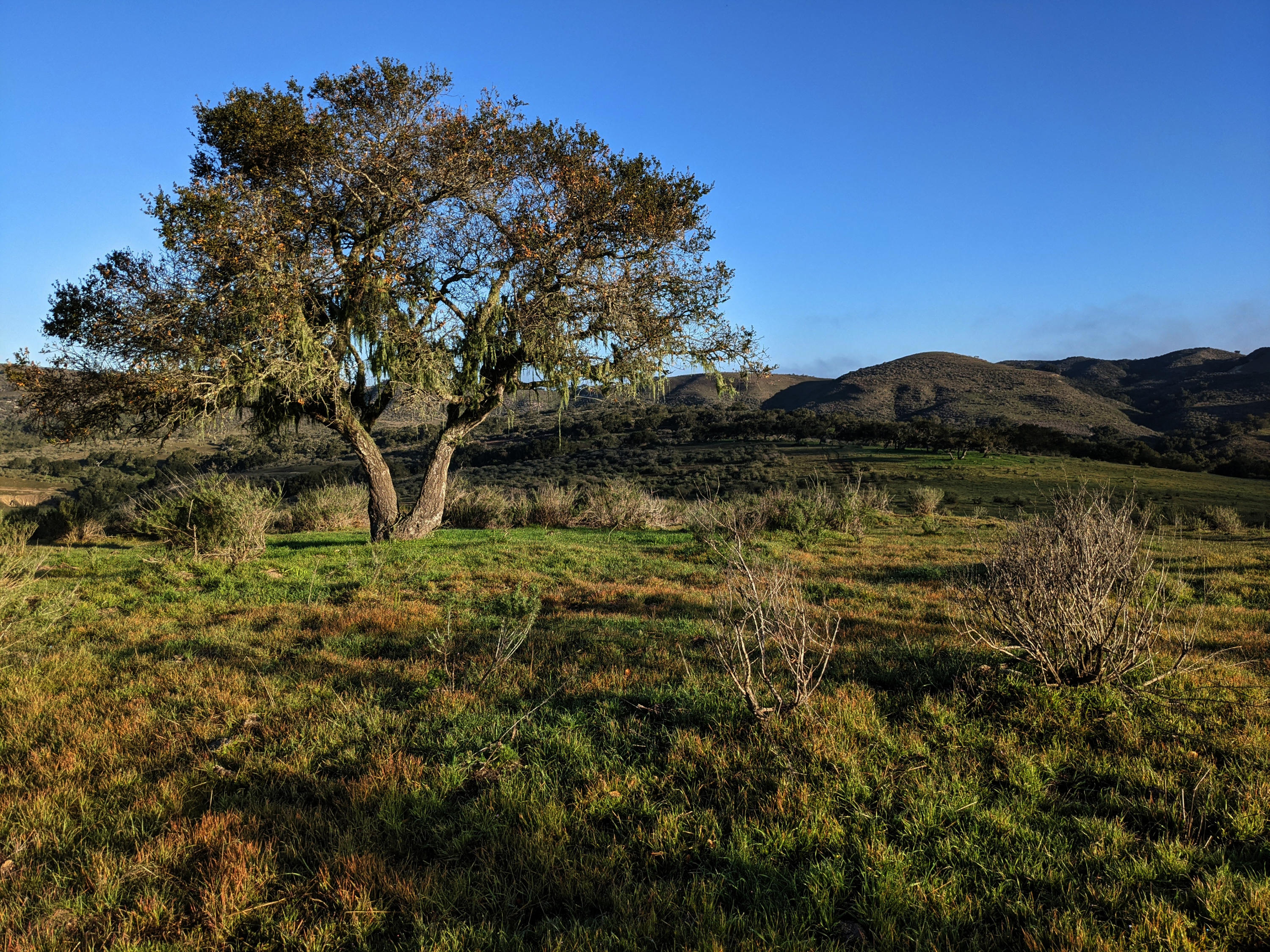 Lompoc, California 93436, United States, ,Land,Active,75201