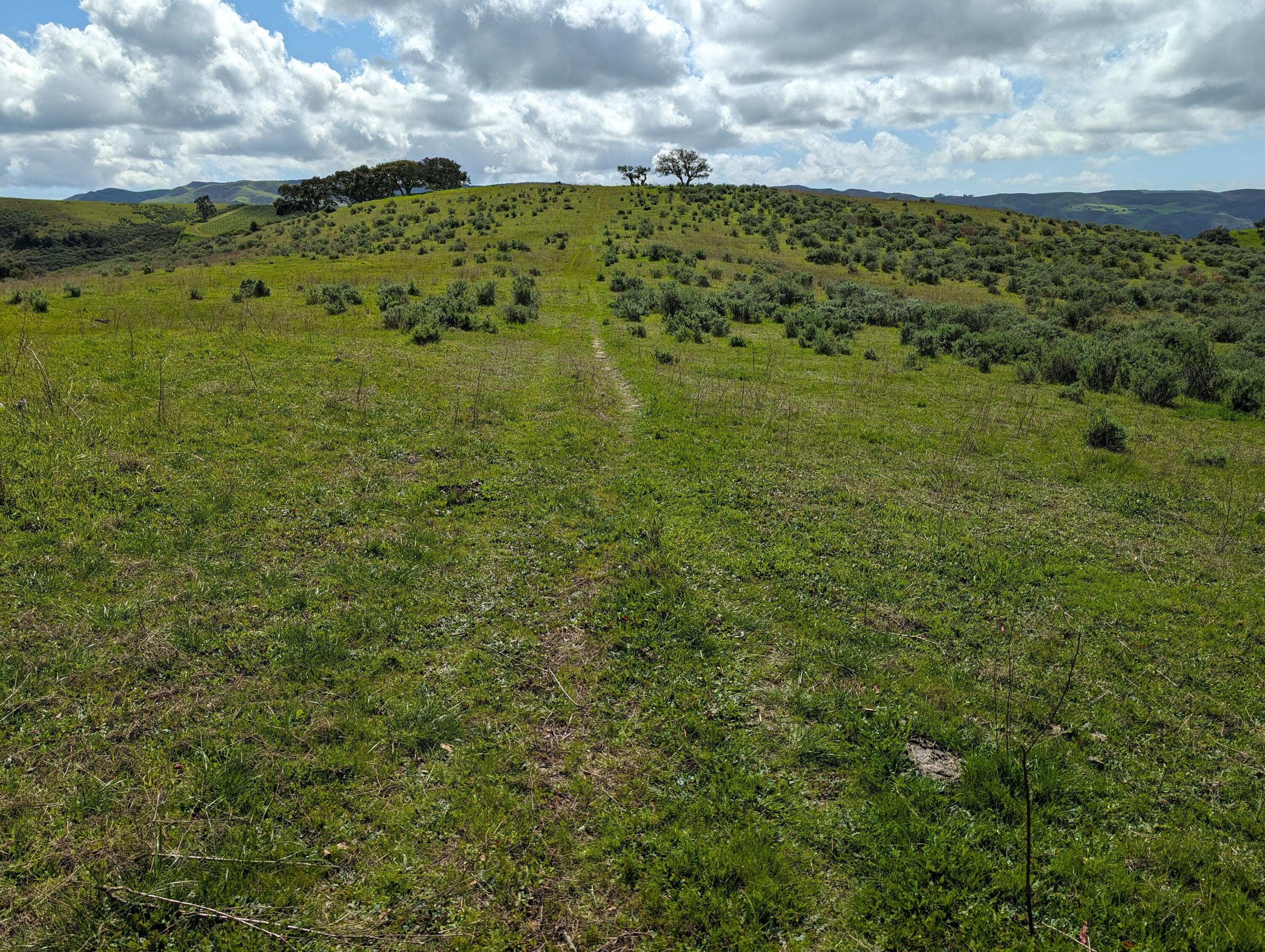 Lompoc, California 93436, United States, ,Land,Active,75201