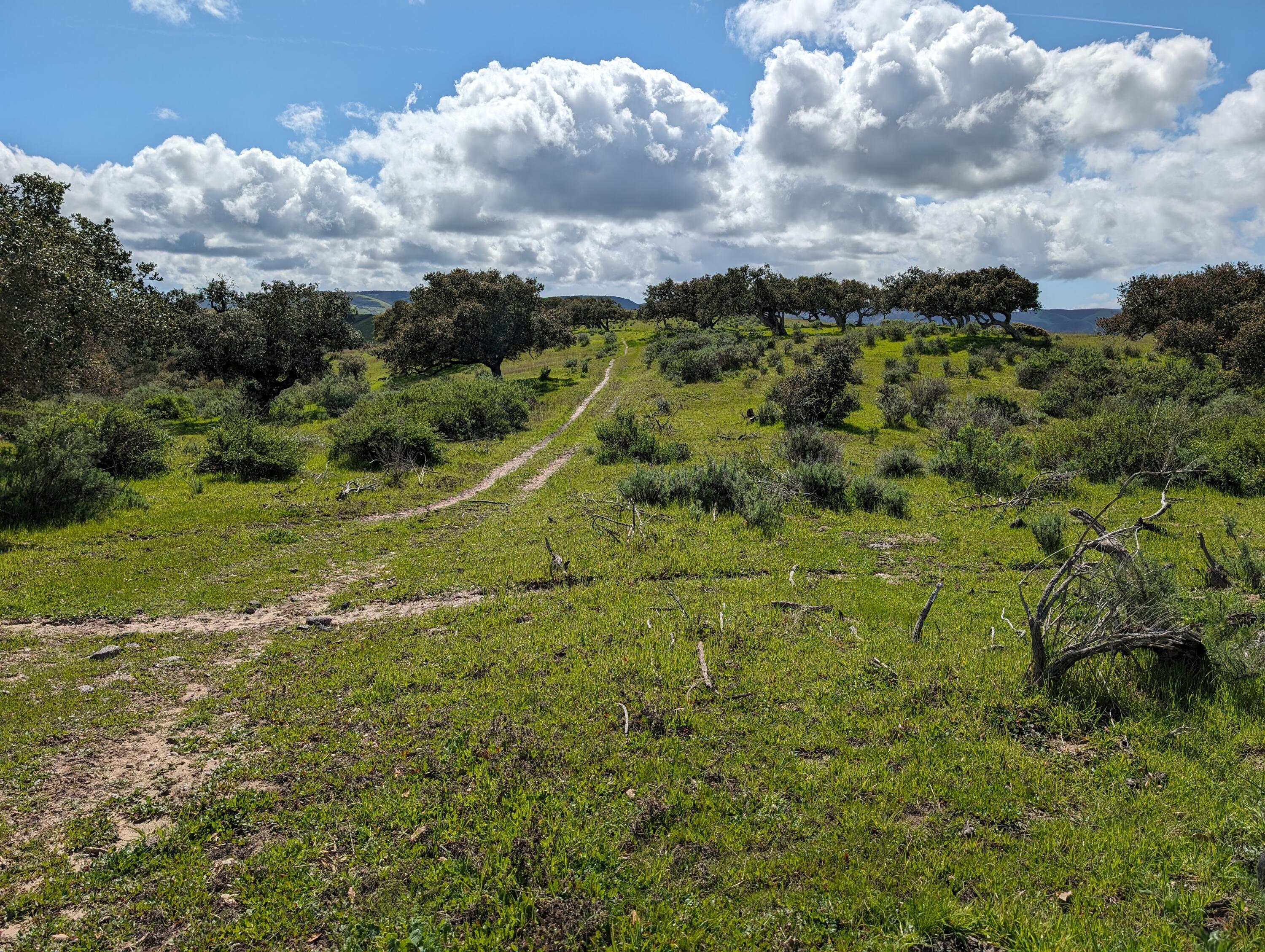 Lompoc, California 93436, United States, ,Land,Active,75201