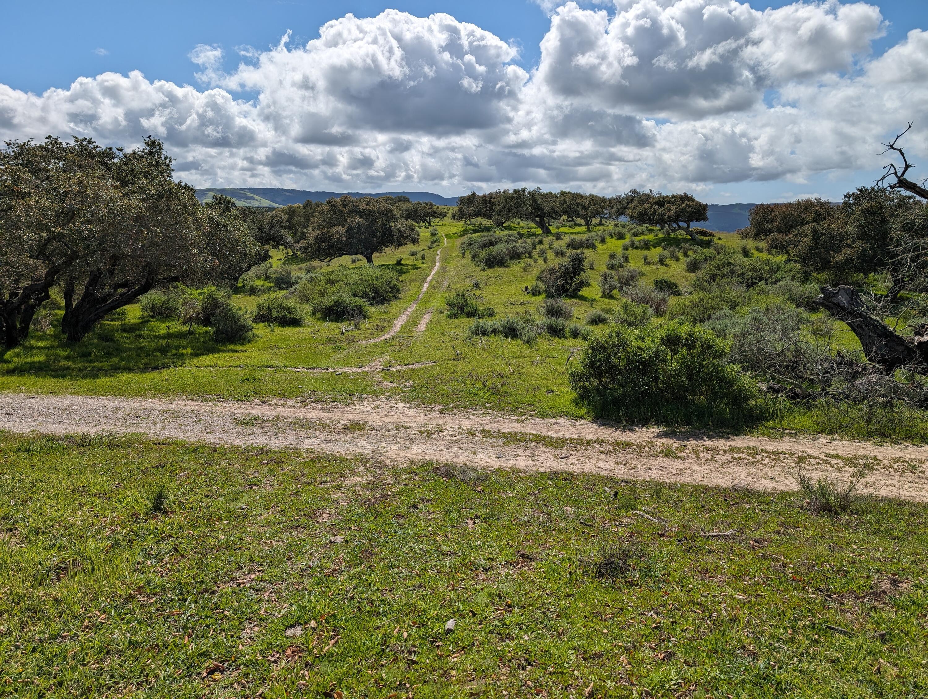 Lompoc, California 93436, United States, ,Land,Active,75201