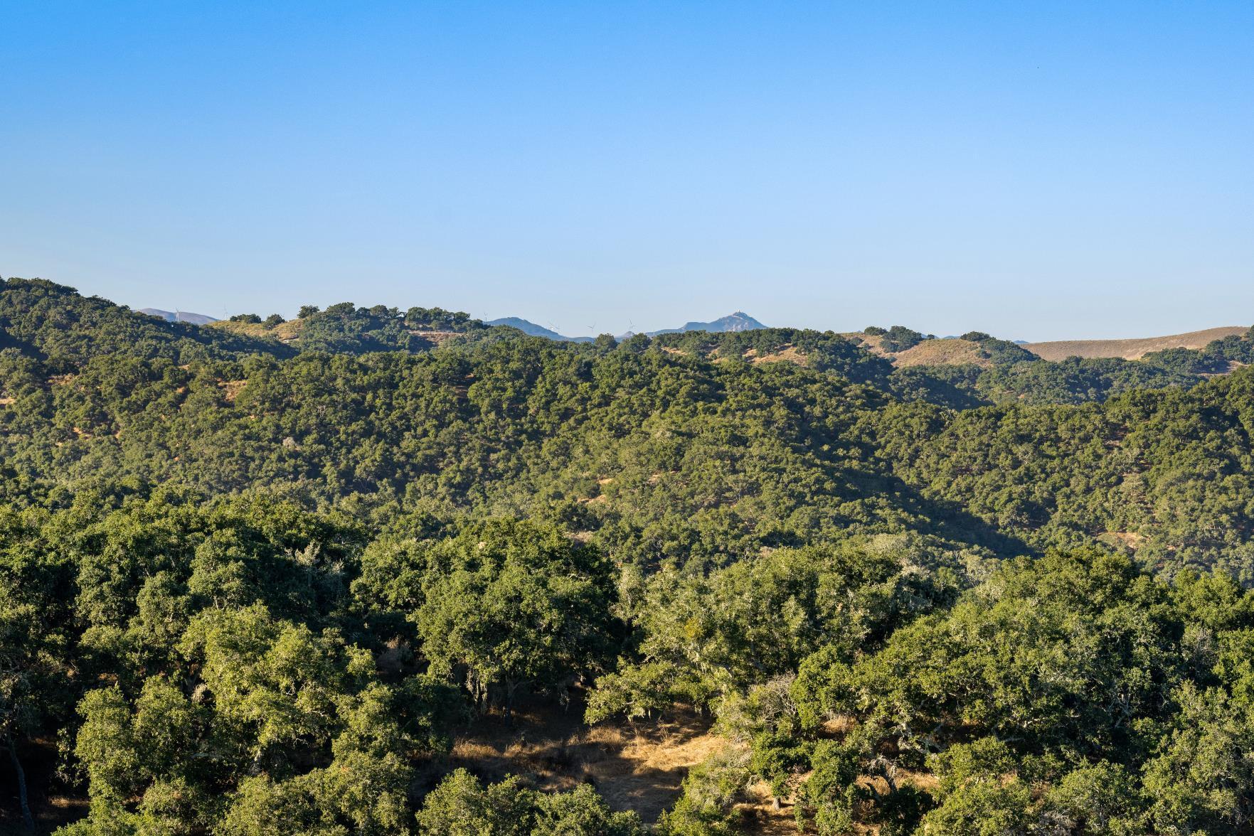 Los Alamos, California 93440, United States, 3 Bedrooms Bedrooms, ,2 BathroomsBathrooms,Residential,Active,41595