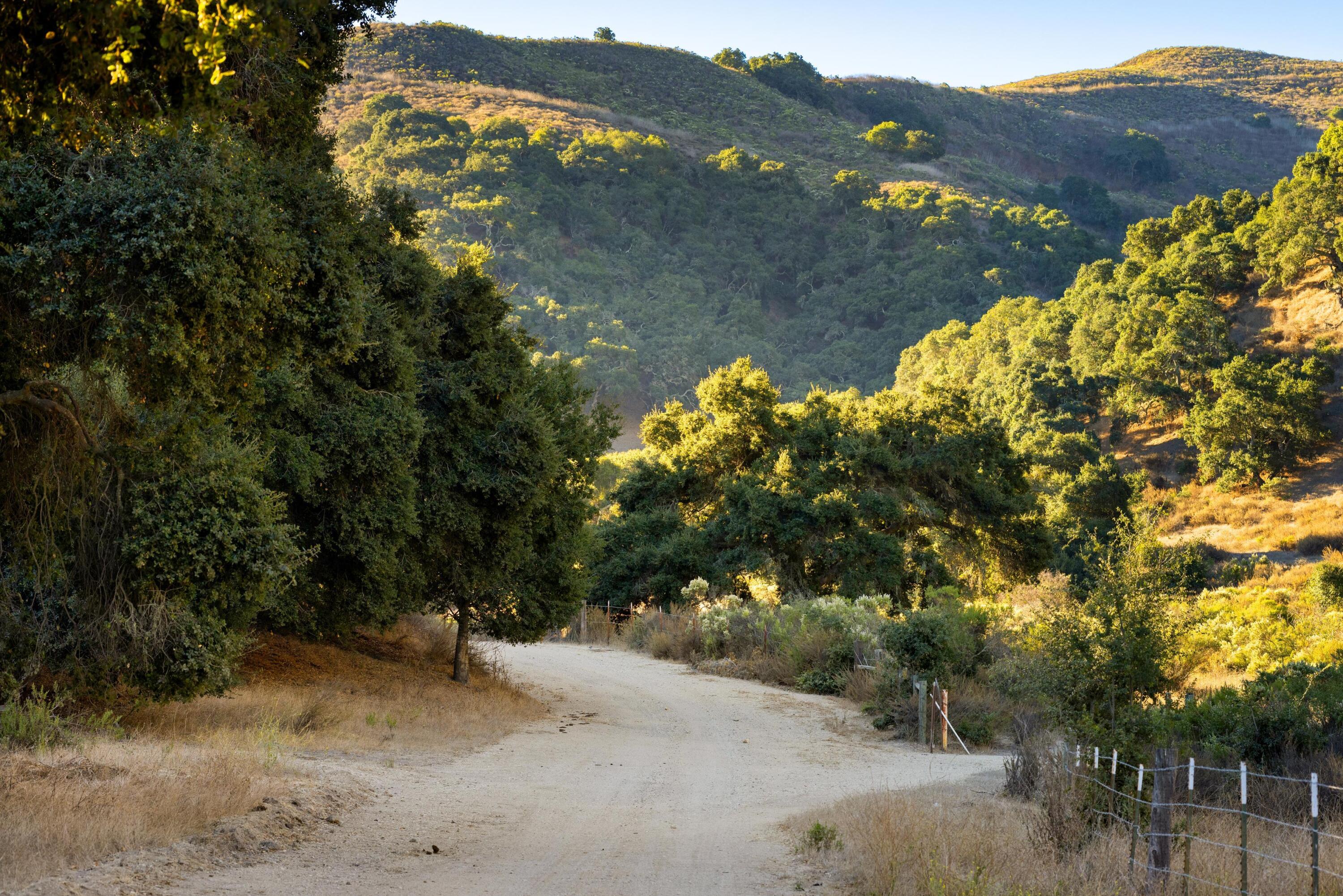 Los Alamos, California 93440, United States, 3 Bedrooms Bedrooms, ,2 BathroomsBathrooms,Residential,Active,41595