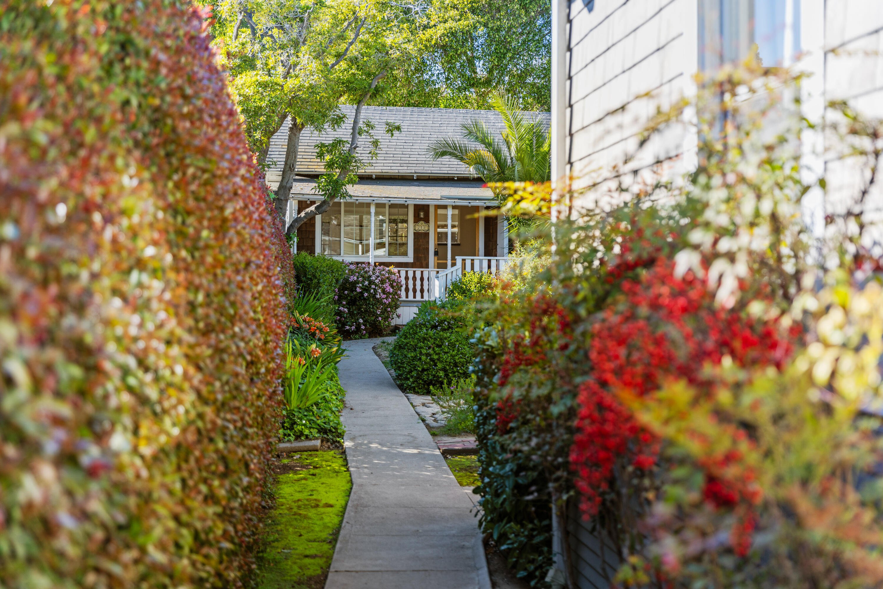 Santa Barbara, California 93101, United States, 5 Bedrooms Bedrooms, ,3 BathroomsBathrooms,Residential,Pending,100227