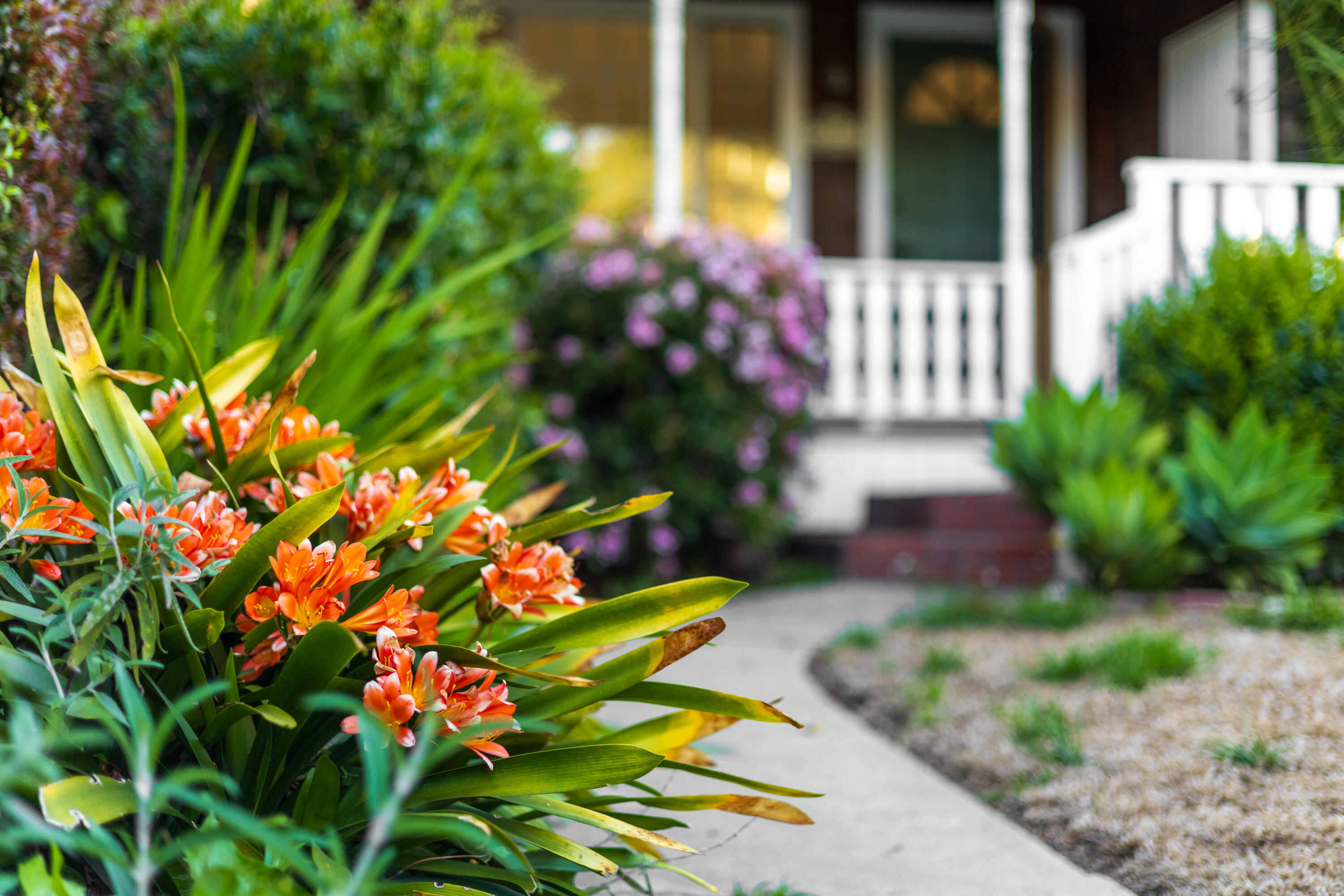 Santa Barbara, California 93101, United States, 5 Bedrooms Bedrooms, ,3 BathroomsBathrooms,Residential,Pending,100227