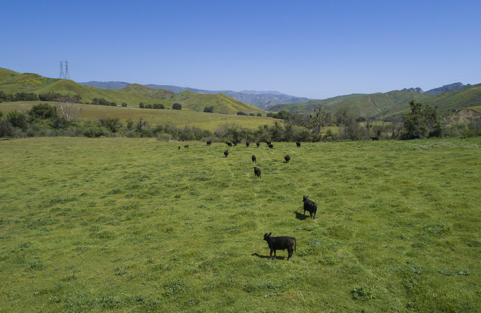 Ventura, California 93001, United States, ,Commercial,Pending,76117