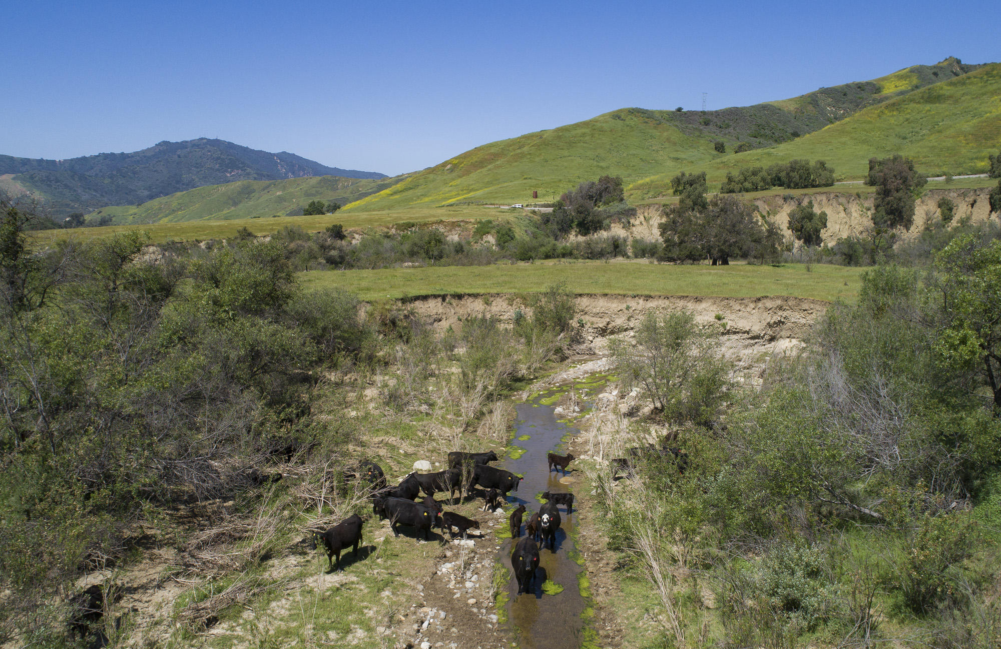 Ventura, California 93001, United States, ,Commercial,Pending,76117