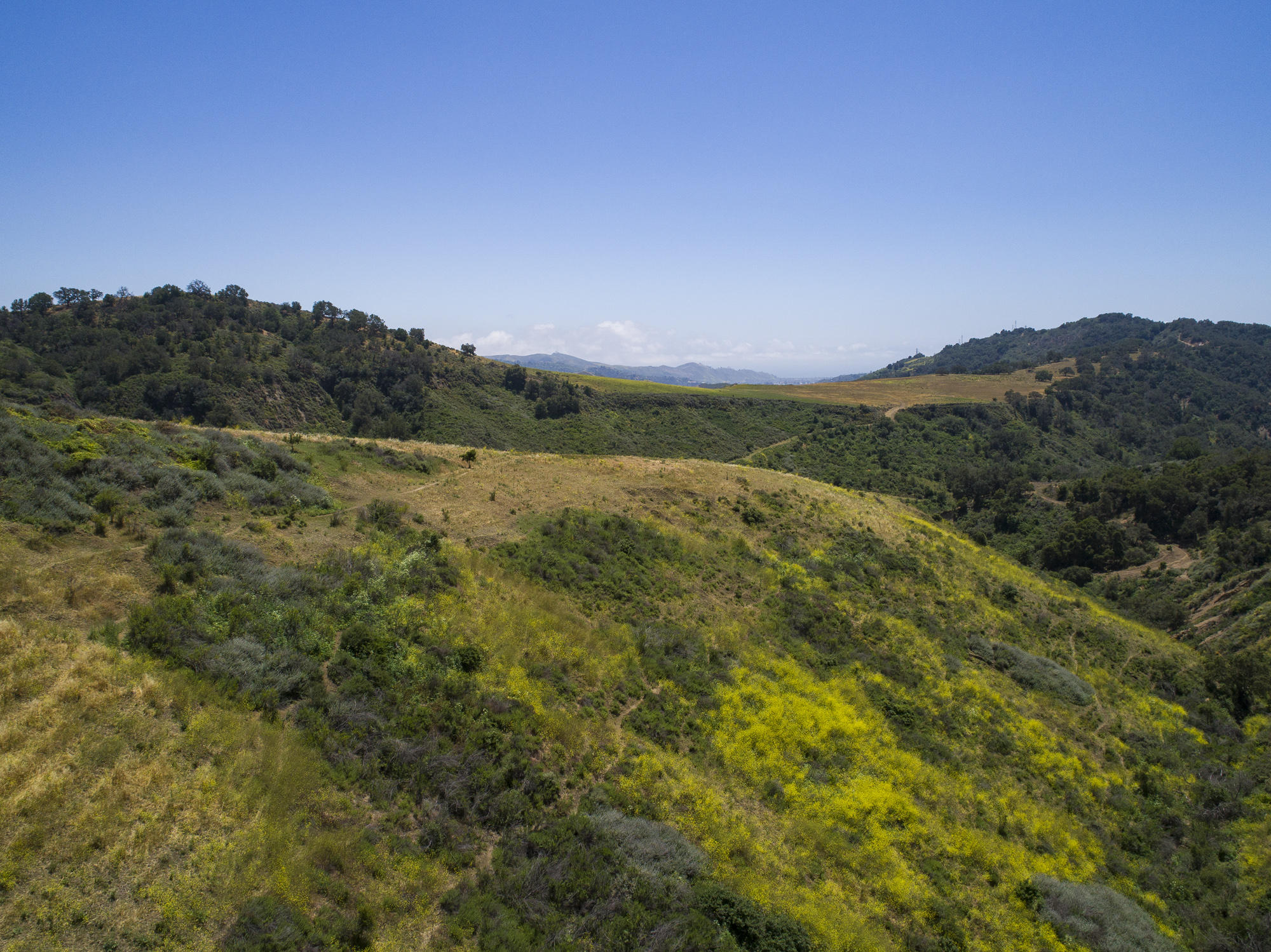 Ventura, California 93001, United States, ,Commercial,Pending,76117