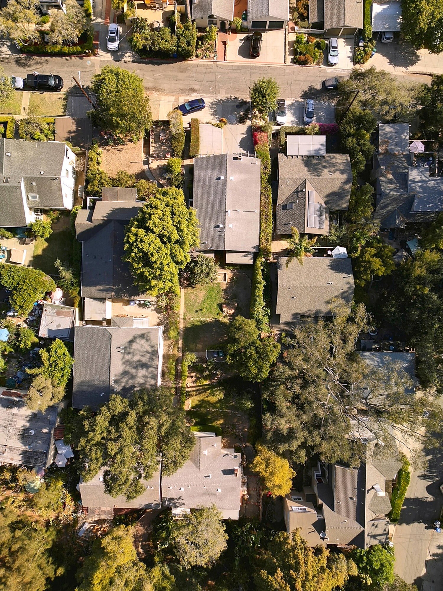 1830 Loma Street