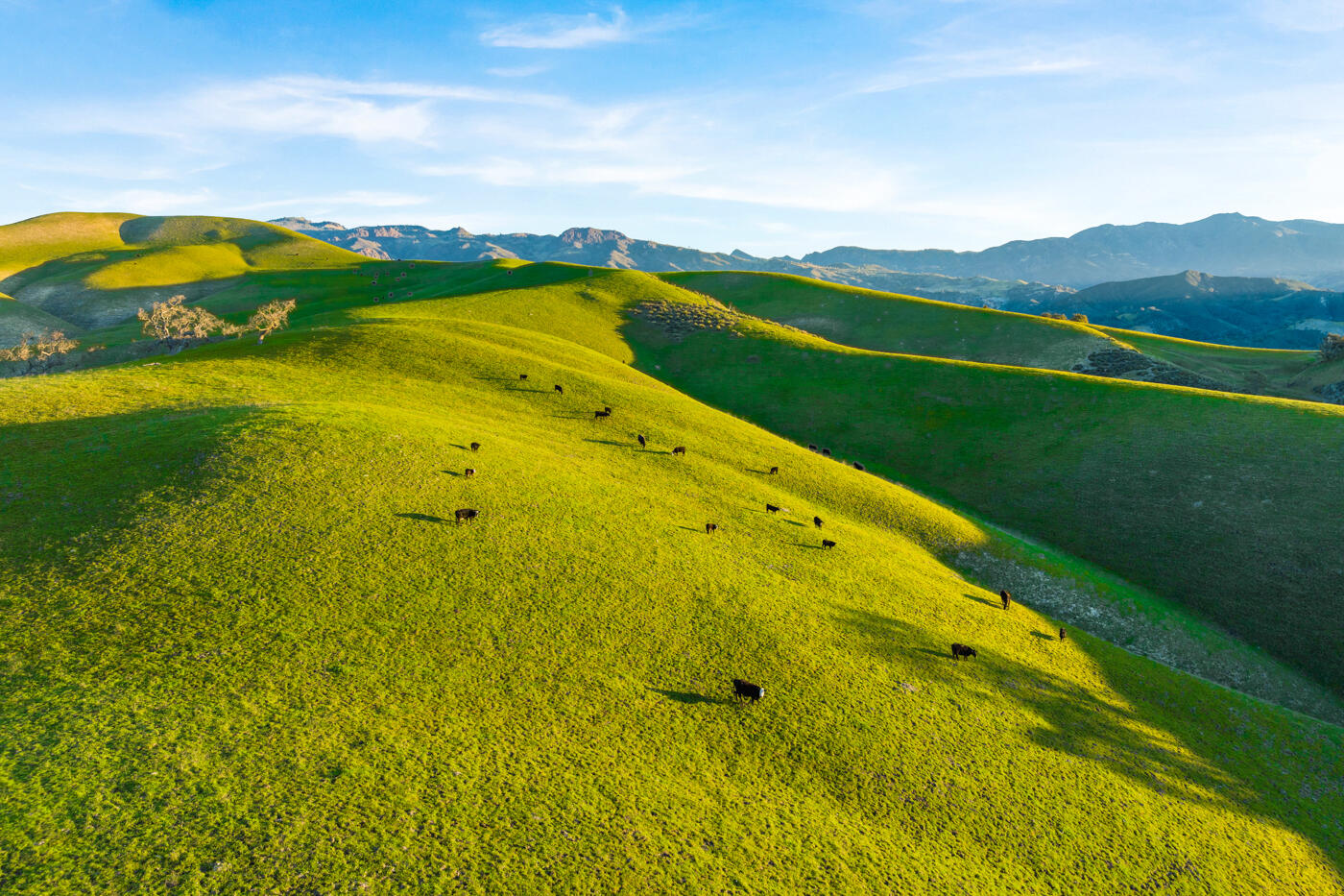 Santa Ynez, California 93460, United States, 52 Bedrooms Bedrooms, ,54 BathroomsBathrooms,Residential,Active,34286