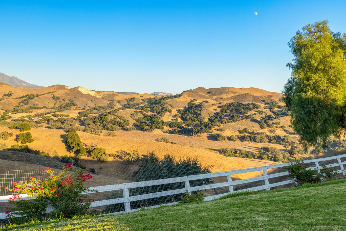 Santa Ynez, California 93460, United States, 52 Bedrooms Bedrooms, ,54 BathroomsBathrooms,Residential,Active,34286