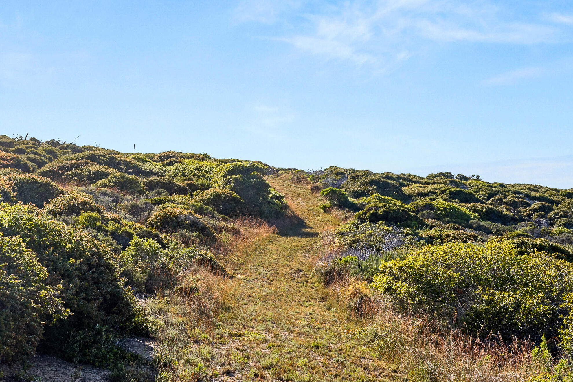 Lompoc, California 93436, United States, 4 Bedrooms Bedrooms, ,3 BathroomsBathrooms,Residential,Active,128211