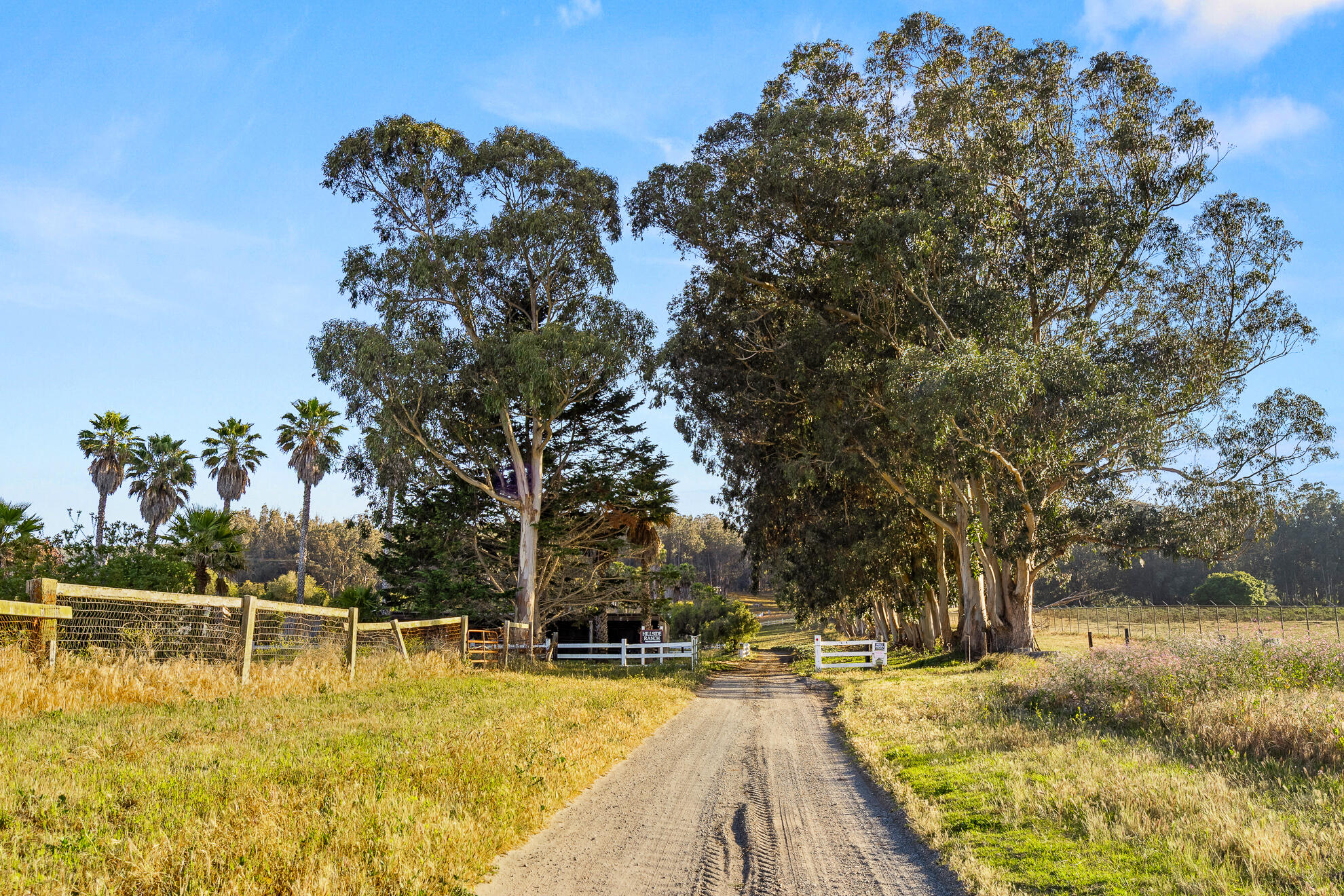Lompoc, California 93436, United States, 4 Bedrooms Bedrooms, ,3 BathroomsBathrooms,Residential,Active,128211