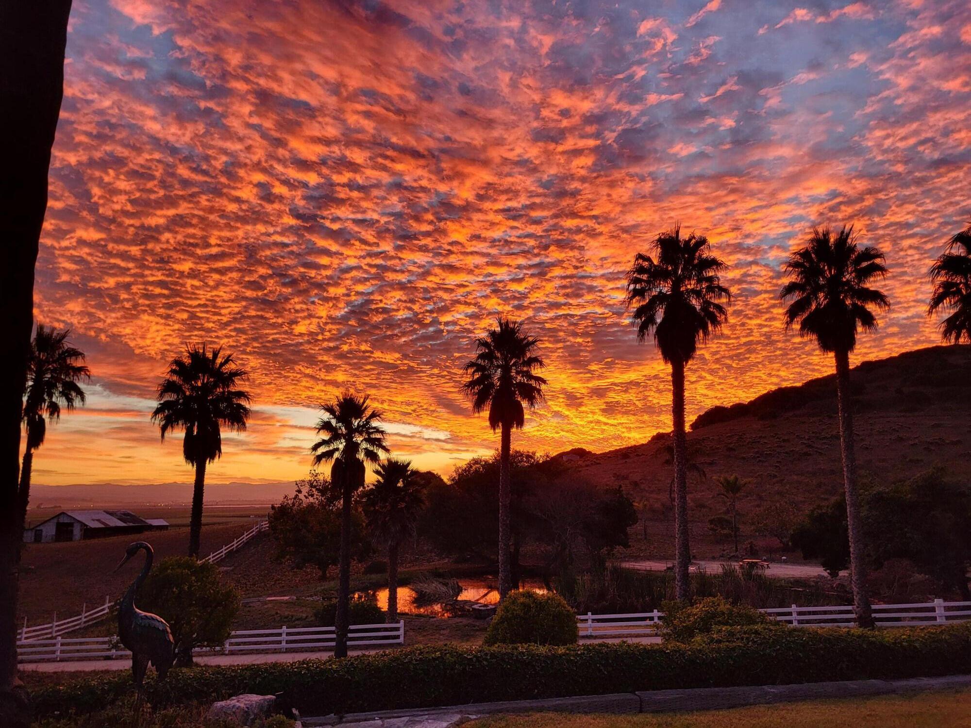 Lompoc, California 93436, United States, 4 Bedrooms Bedrooms, ,3 BathroomsBathrooms,Residential,Active,128211