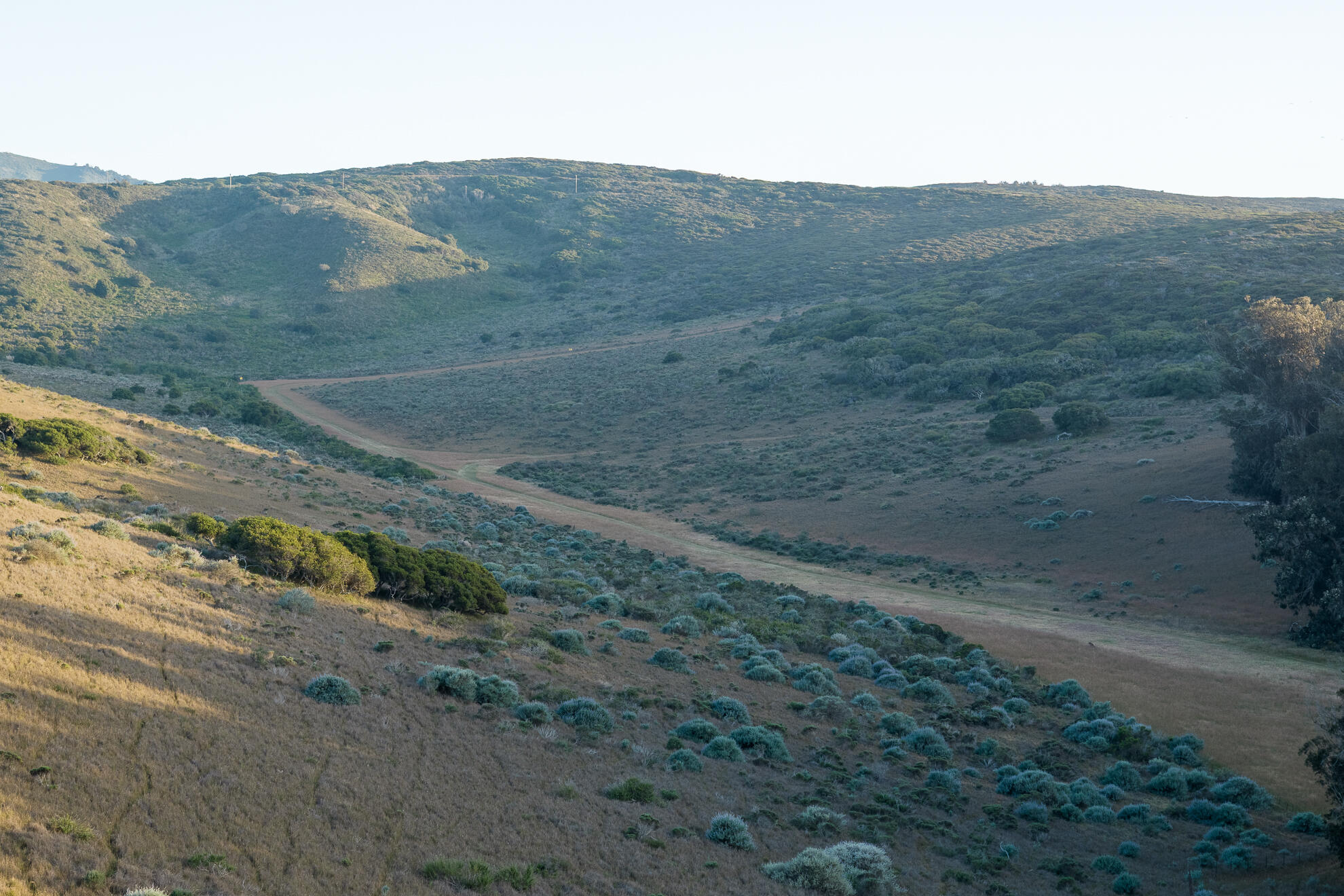 Lompoc, California 93436, United States, 4 Bedrooms Bedrooms, ,3 BathroomsBathrooms,Residential,Active,128211