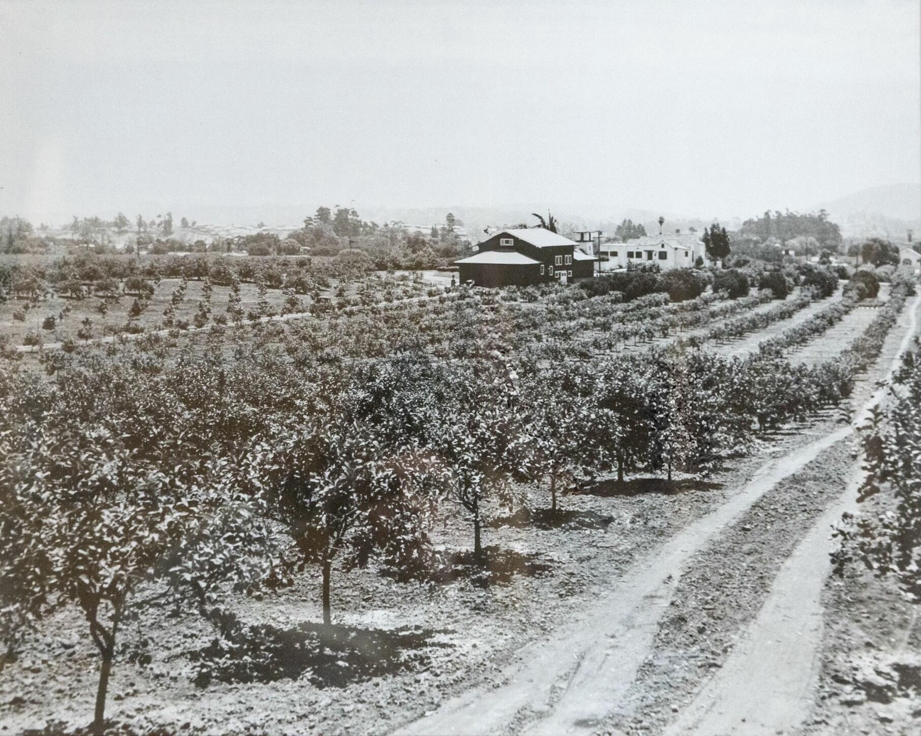 Santa Barbara, California 93110, United States, 5 Bedrooms Bedrooms, ,3 BathroomsBathrooms,Residential,Pending,1959