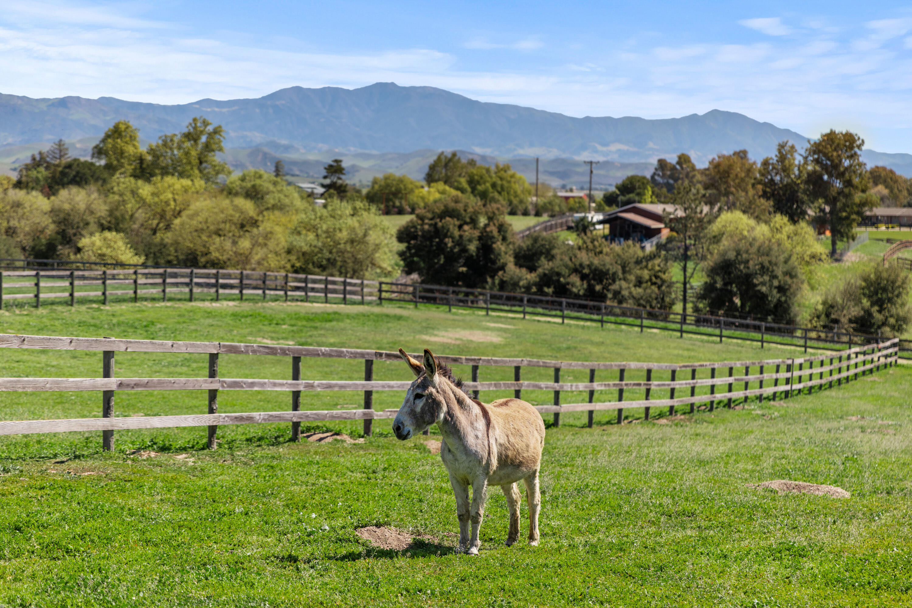 Santa Ynez, California 93460, United States, 3 Bedrooms Bedrooms, ,3 BathroomsBathrooms,Residential,Active,108907