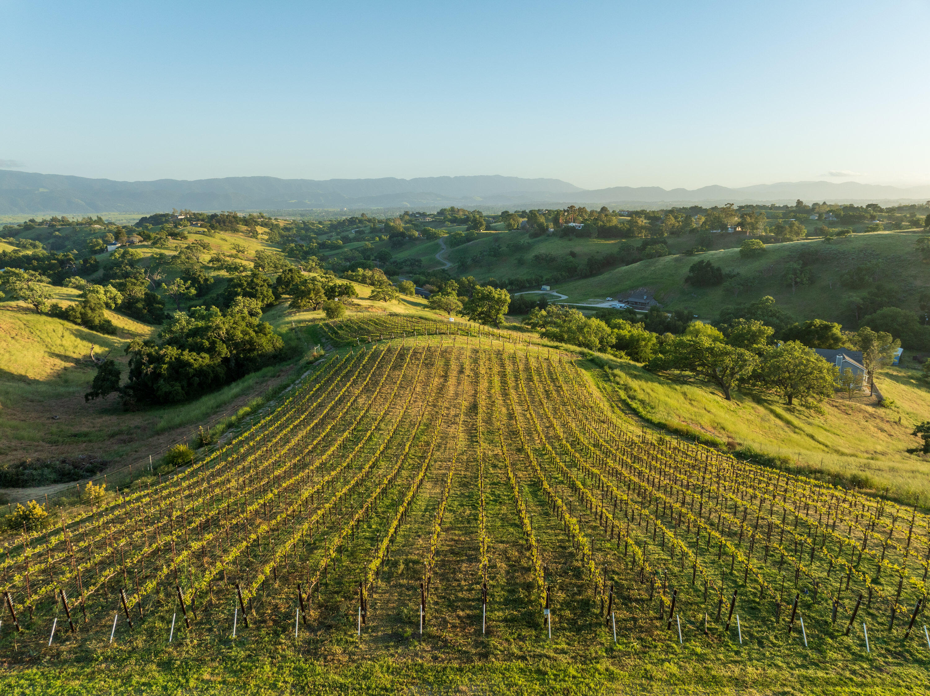 Santa Ynez, California 93460, United States, 3 Bedrooms Bedrooms, ,3 BathroomsBathrooms,Residential,Active,241028