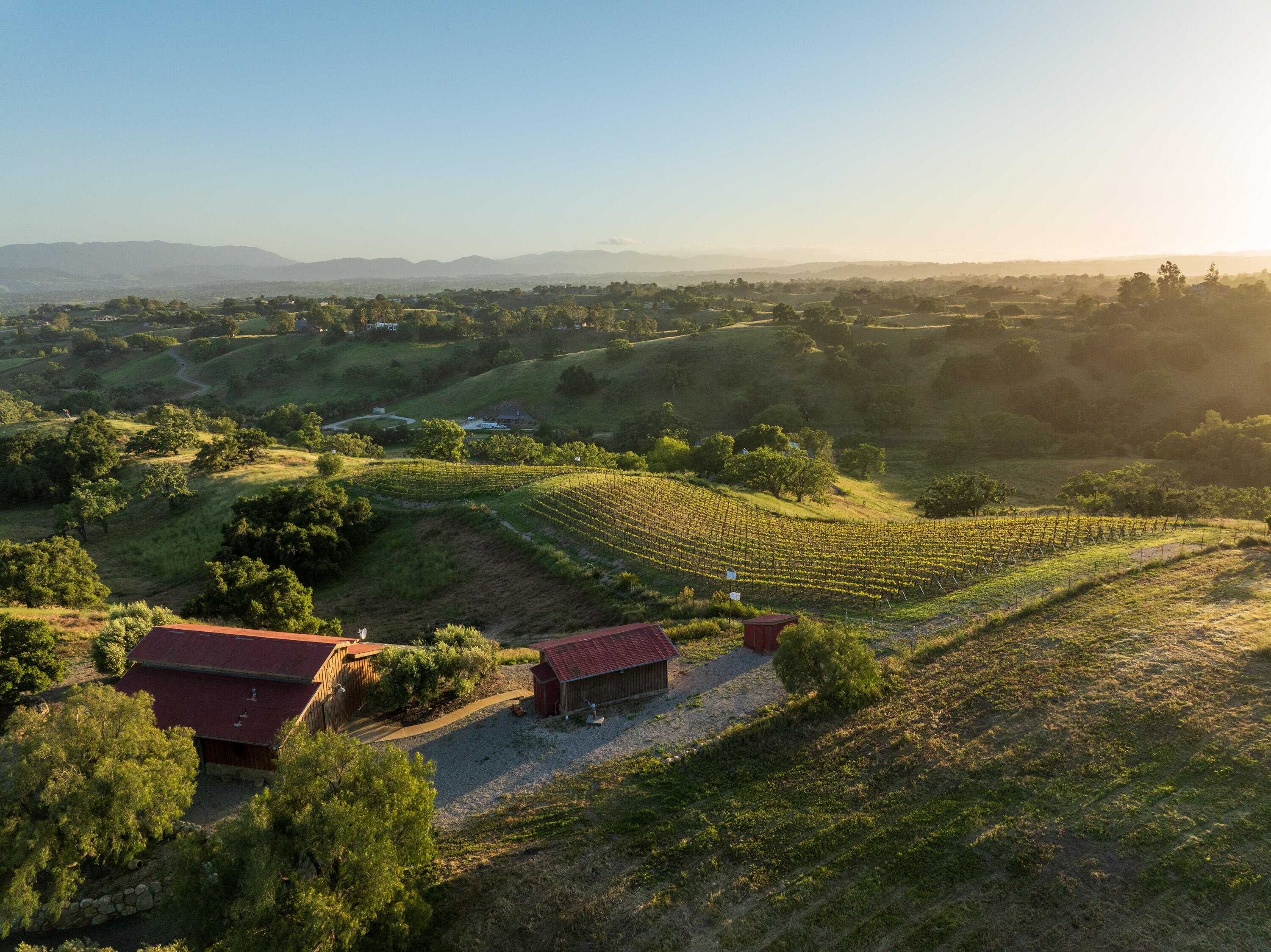 Santa Ynez, California 93460, United States, 3 Bedrooms Bedrooms, ,3 BathroomsBathrooms,Residential,Active,241028
