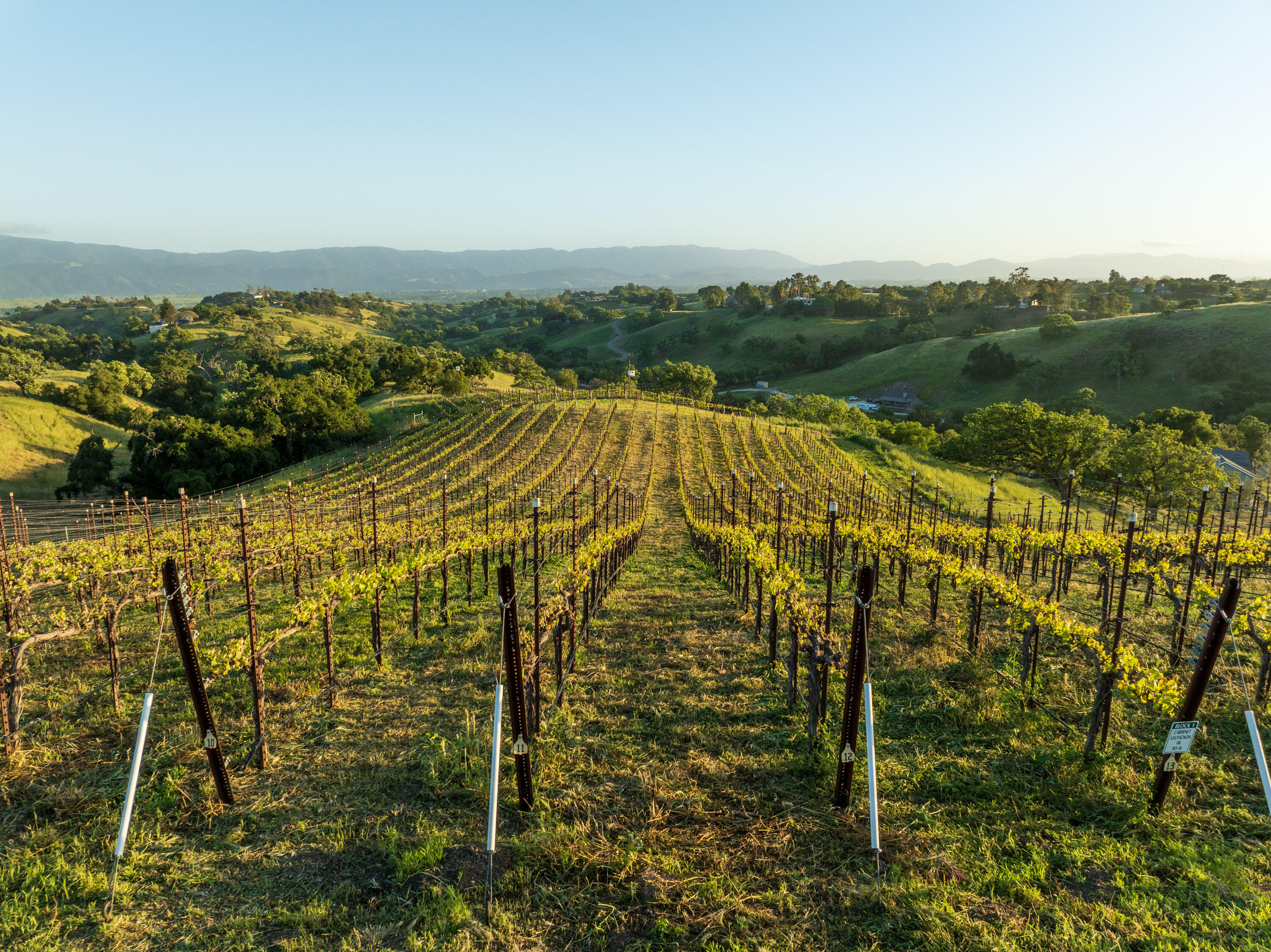 Santa Ynez, California 93460, United States, 3 Bedrooms Bedrooms, ,3 BathroomsBathrooms,Residential,Active,241028