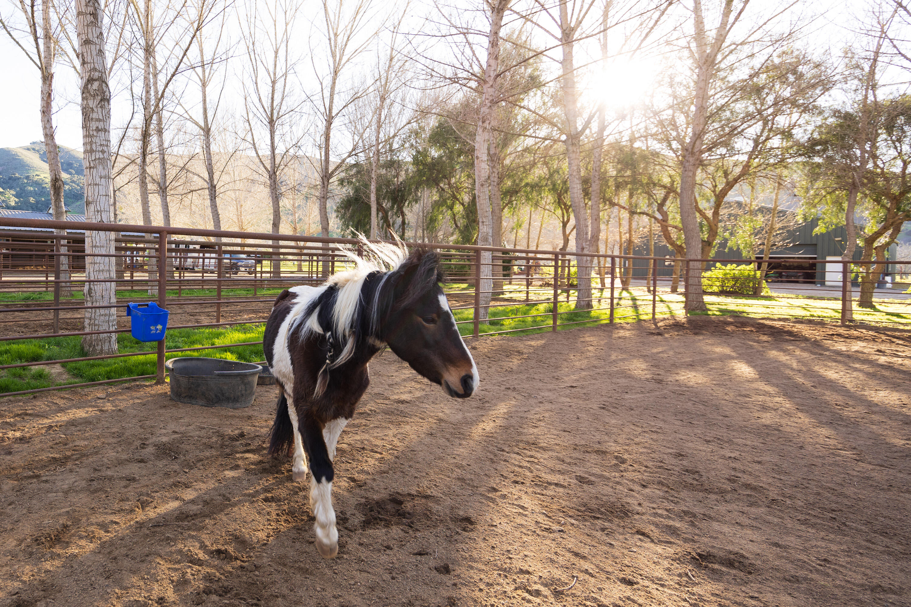 Buellton, California 93427, United States, 3 Bedrooms Bedrooms, ,3 BathroomsBathrooms,Residential,Active,112501