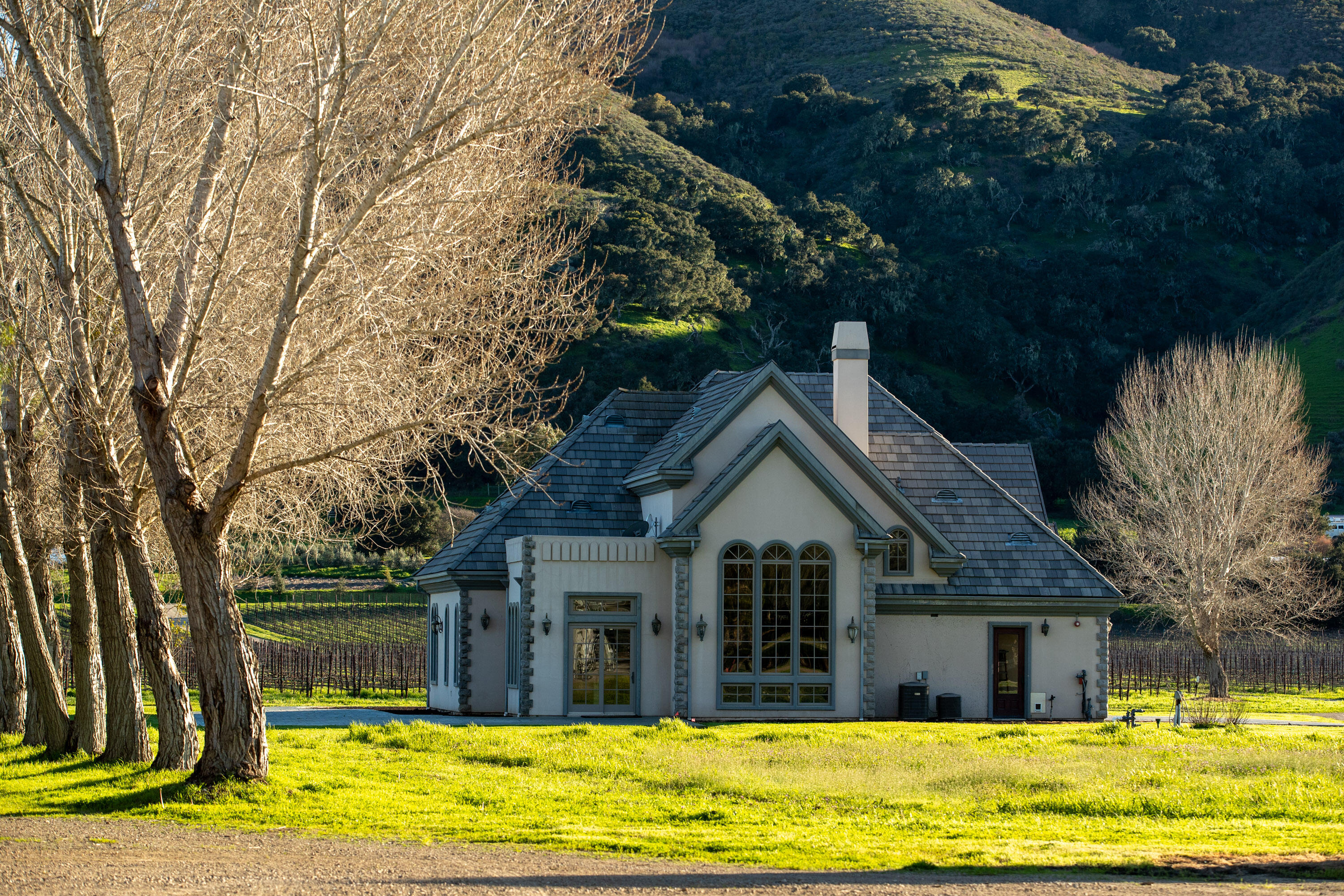 Buellton, California 93427, United States, 3 Bedrooms Bedrooms, ,3 BathroomsBathrooms,Residential,Active,112501