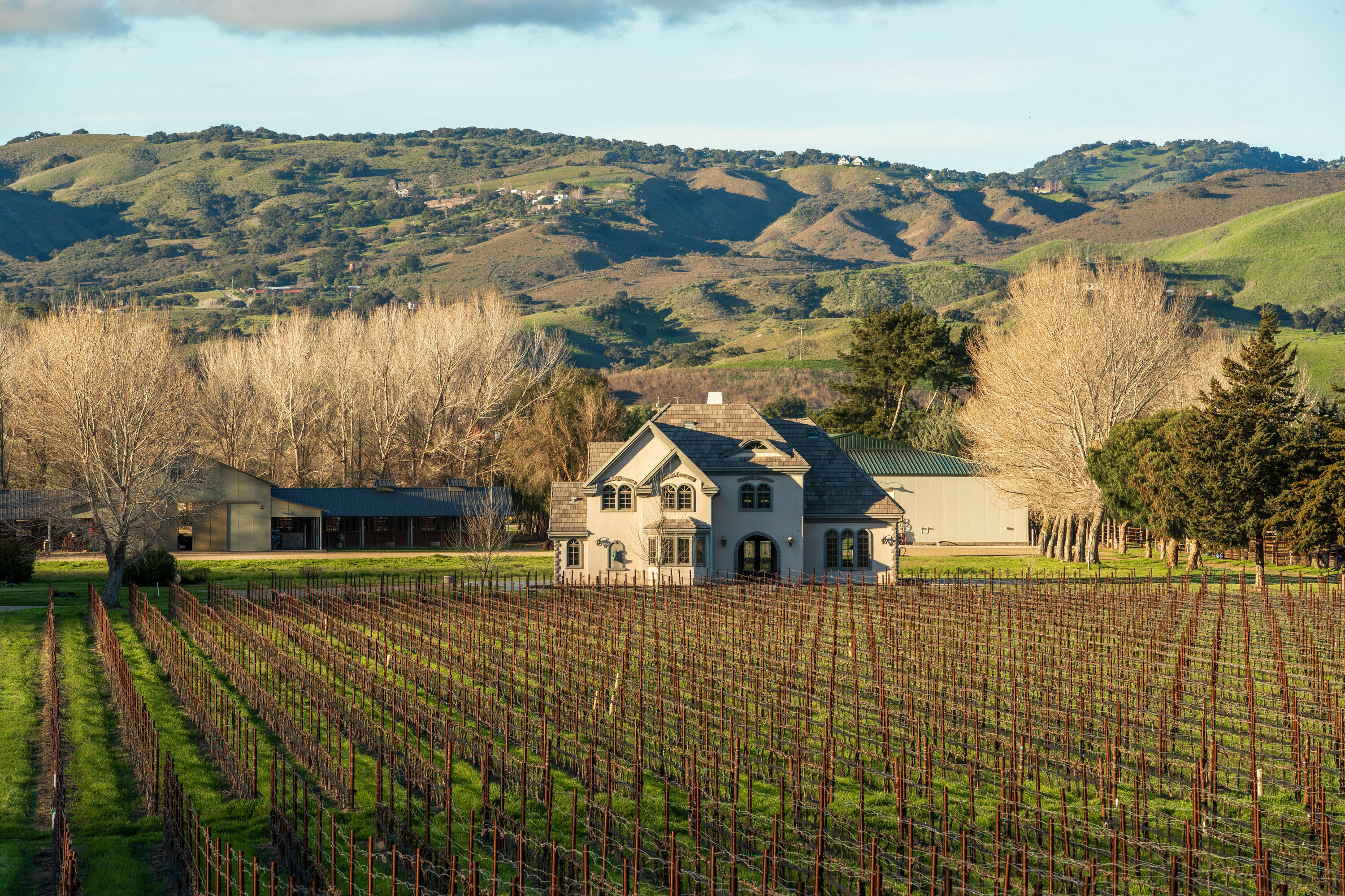 Buellton, California 93427, United States, 3 Bedrooms Bedrooms, ,3 BathroomsBathrooms,Residential,Active,112501