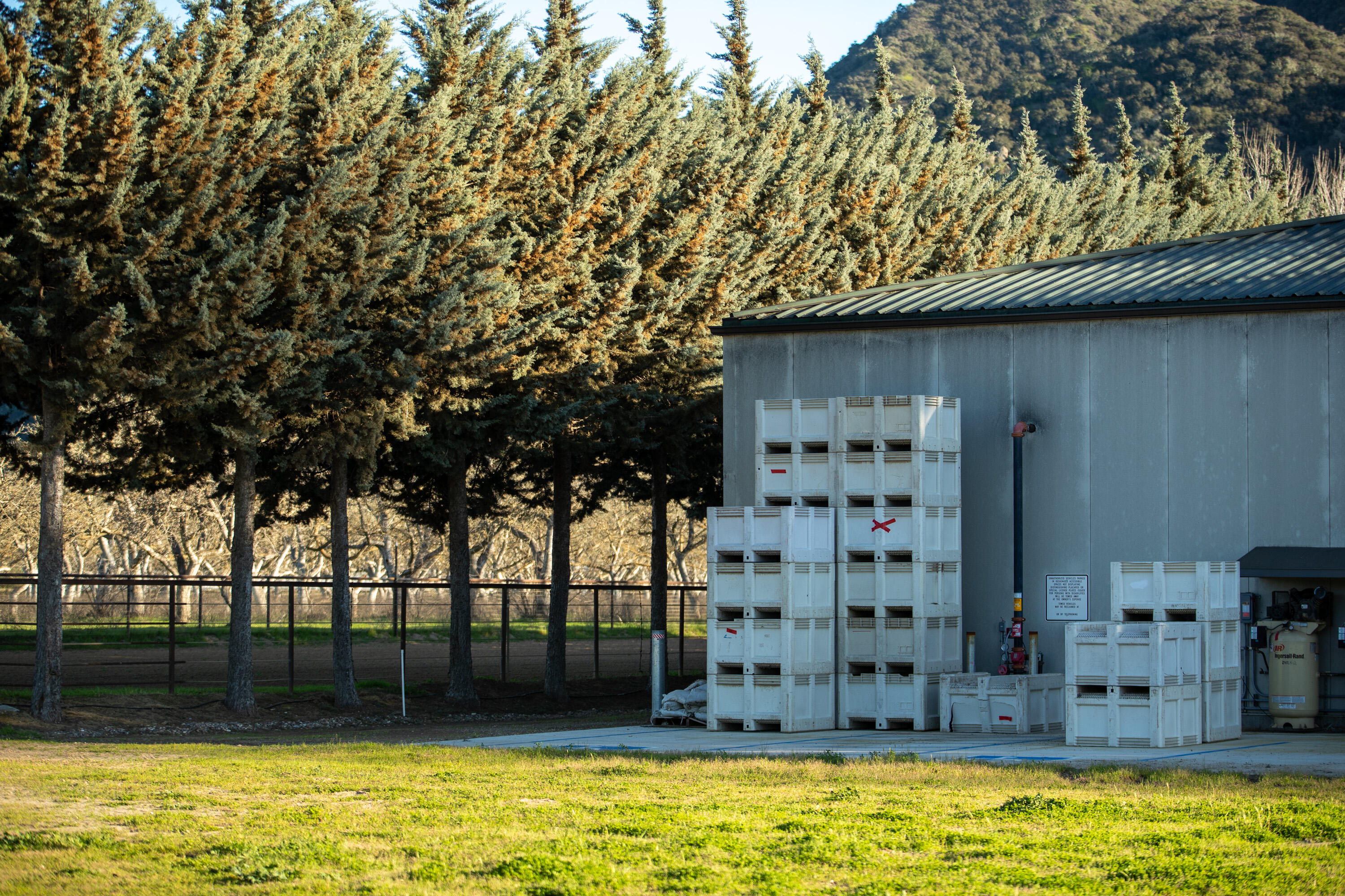 Buellton, California 93427, United States, 3 Bedrooms Bedrooms, ,3 BathroomsBathrooms,Residential,Active,112501