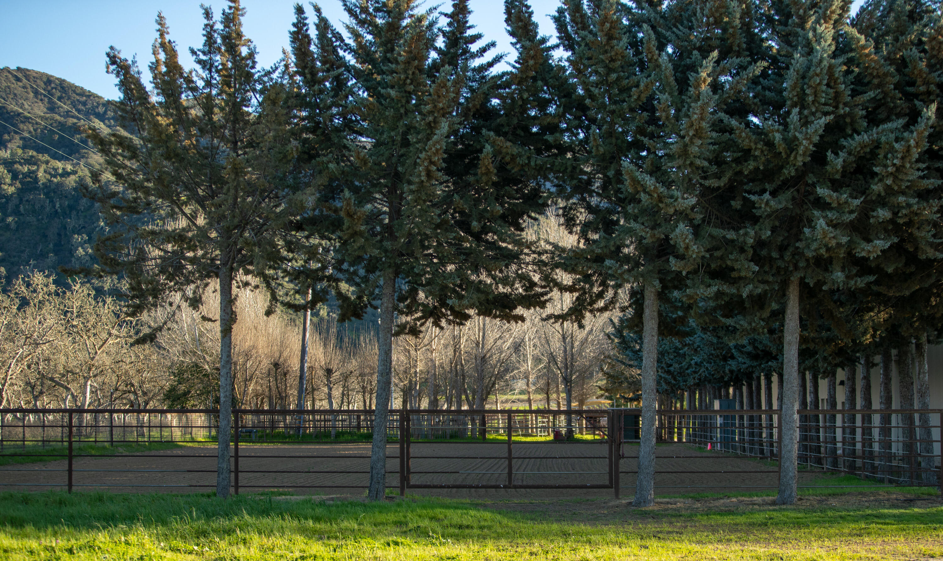 Buellton, California 93427, United States, 3 Bedrooms Bedrooms, ,3 BathroomsBathrooms,Residential,Active,112501