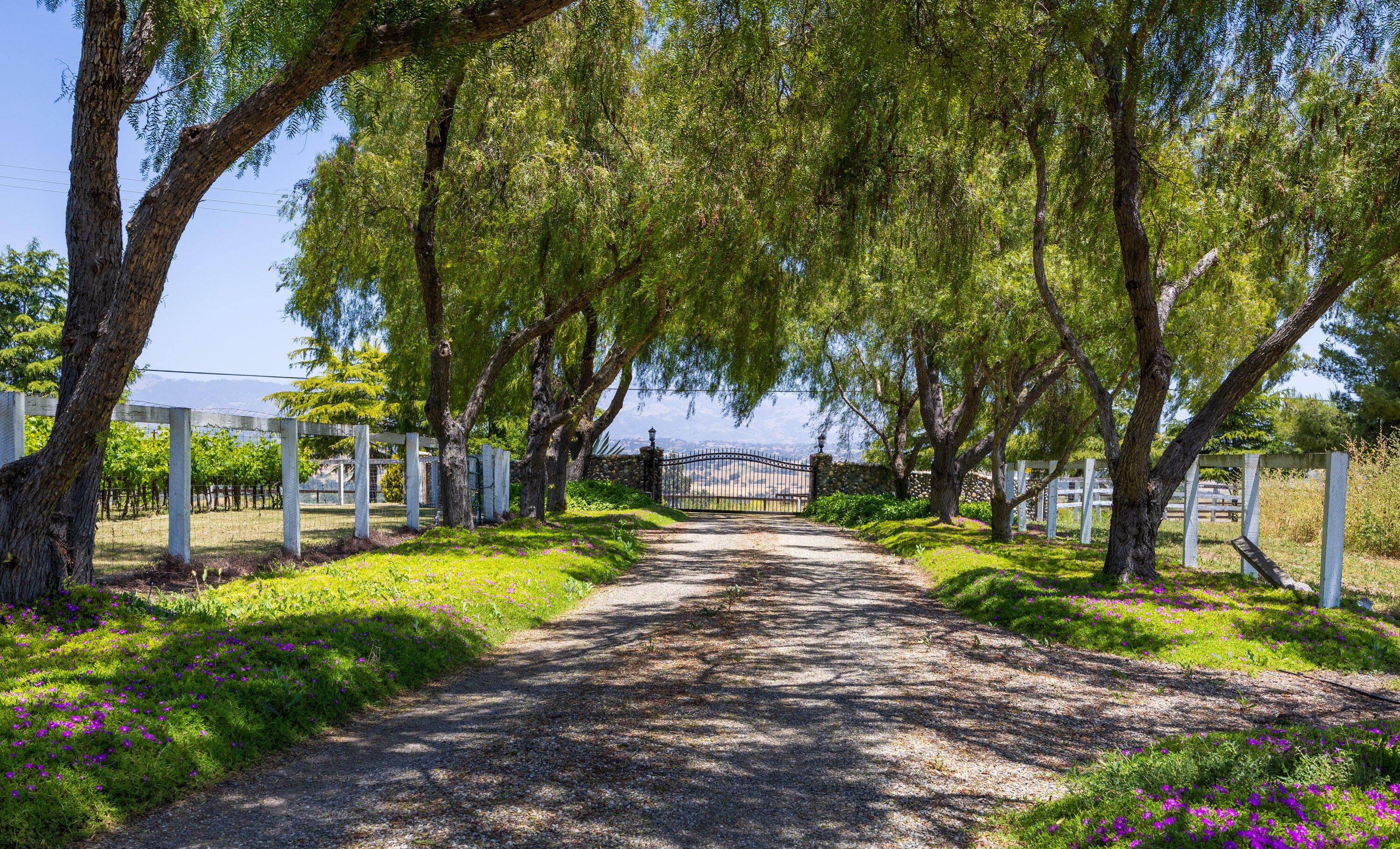 Solvang, California 93463, United States, 4 Bedrooms Bedrooms, ,3 BathroomsBathrooms,Residential,Active,91863