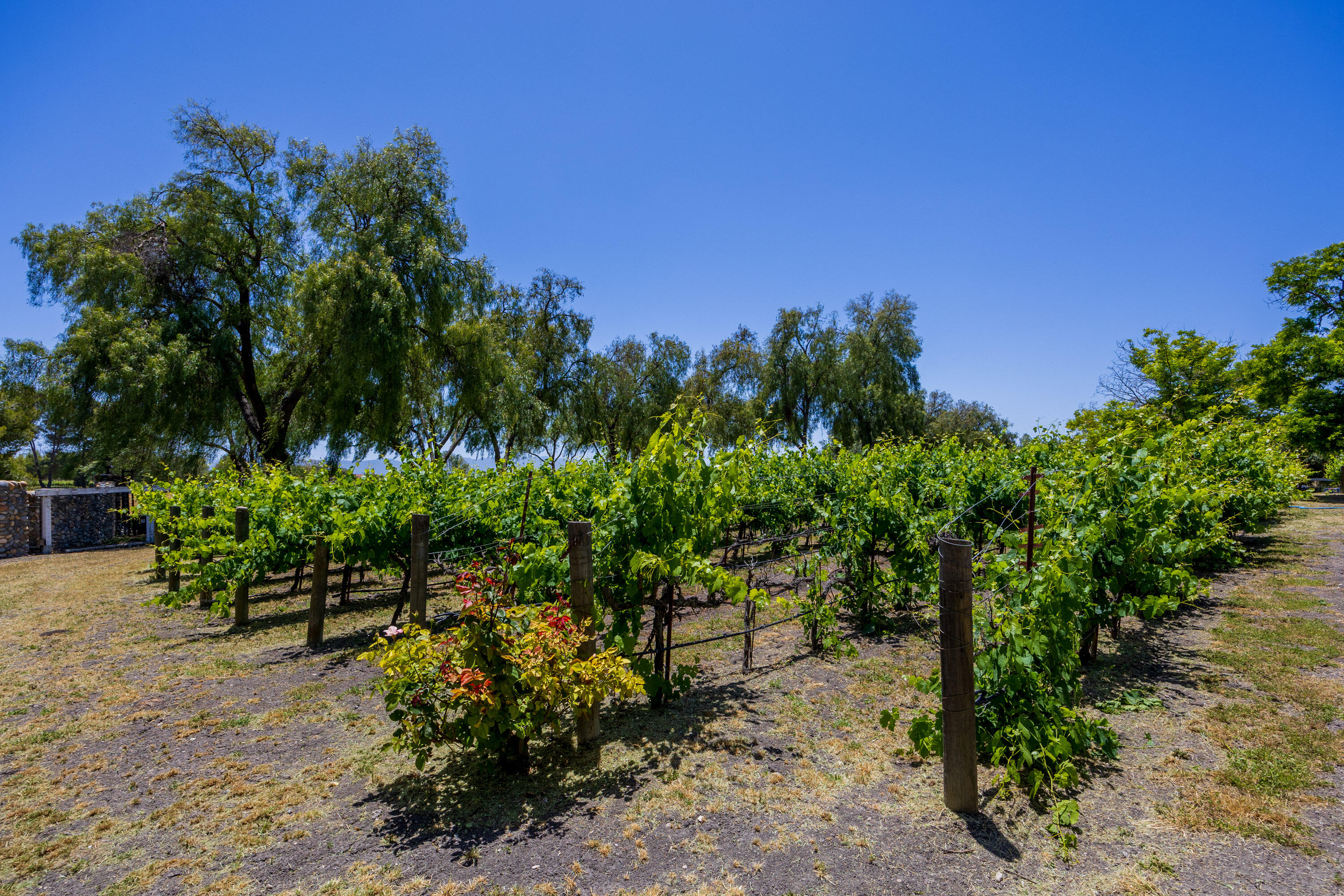 Solvang, California 93463, United States, 4 Bedrooms Bedrooms, ,3 BathroomsBathrooms,Residential,Active,91863