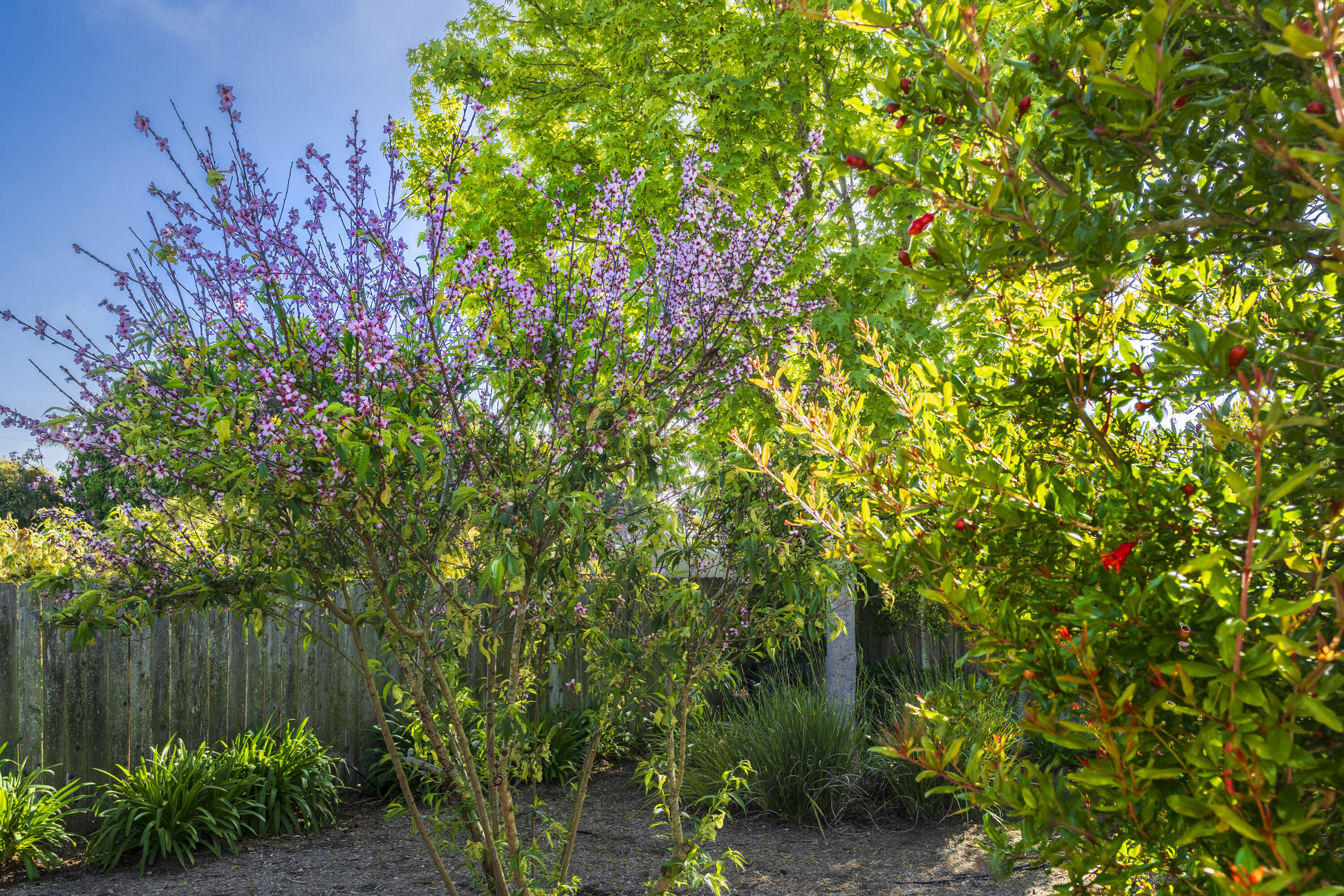 Santa Barbara, California 93109, United States, 3 Bedrooms Bedrooms, ,2 BathroomsBathrooms,Residential,Pending,113572