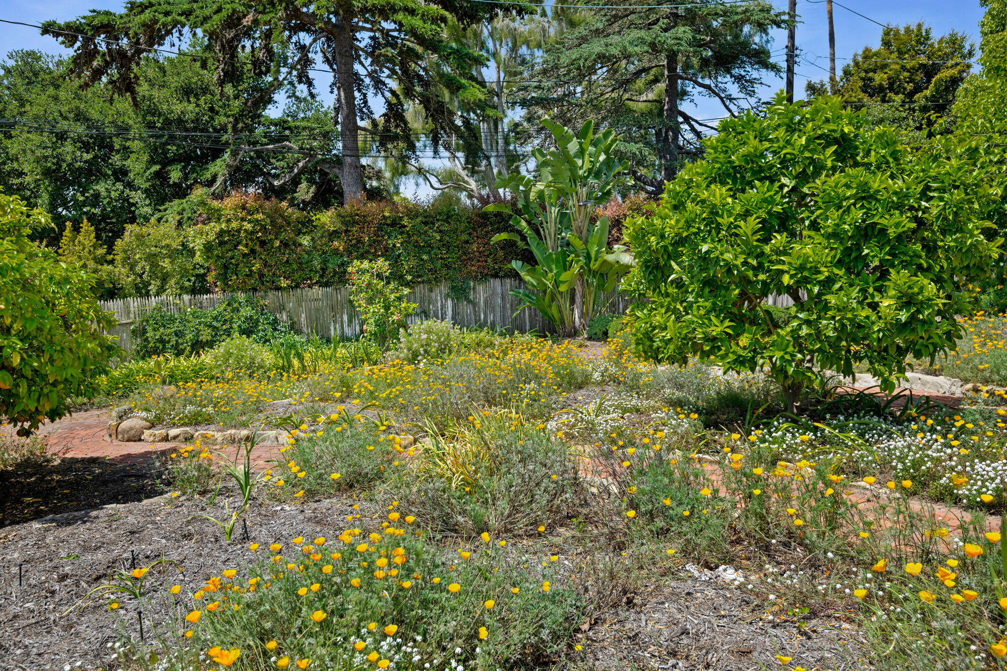 Santa Barbara, California 93103, United States, 5 Bedrooms Bedrooms, ,3 BathroomsBathrooms,Residential,Active,130328