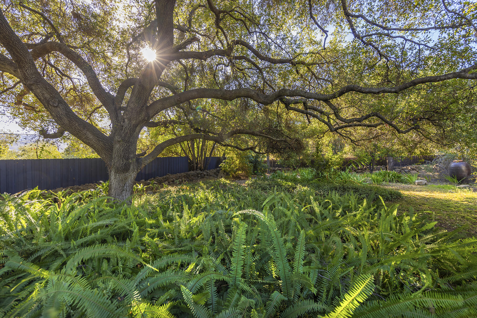 Ojai, California 93023, United States, 5 Bedrooms Bedrooms, ,3 BathroomsBathrooms,Residential,Active,14154