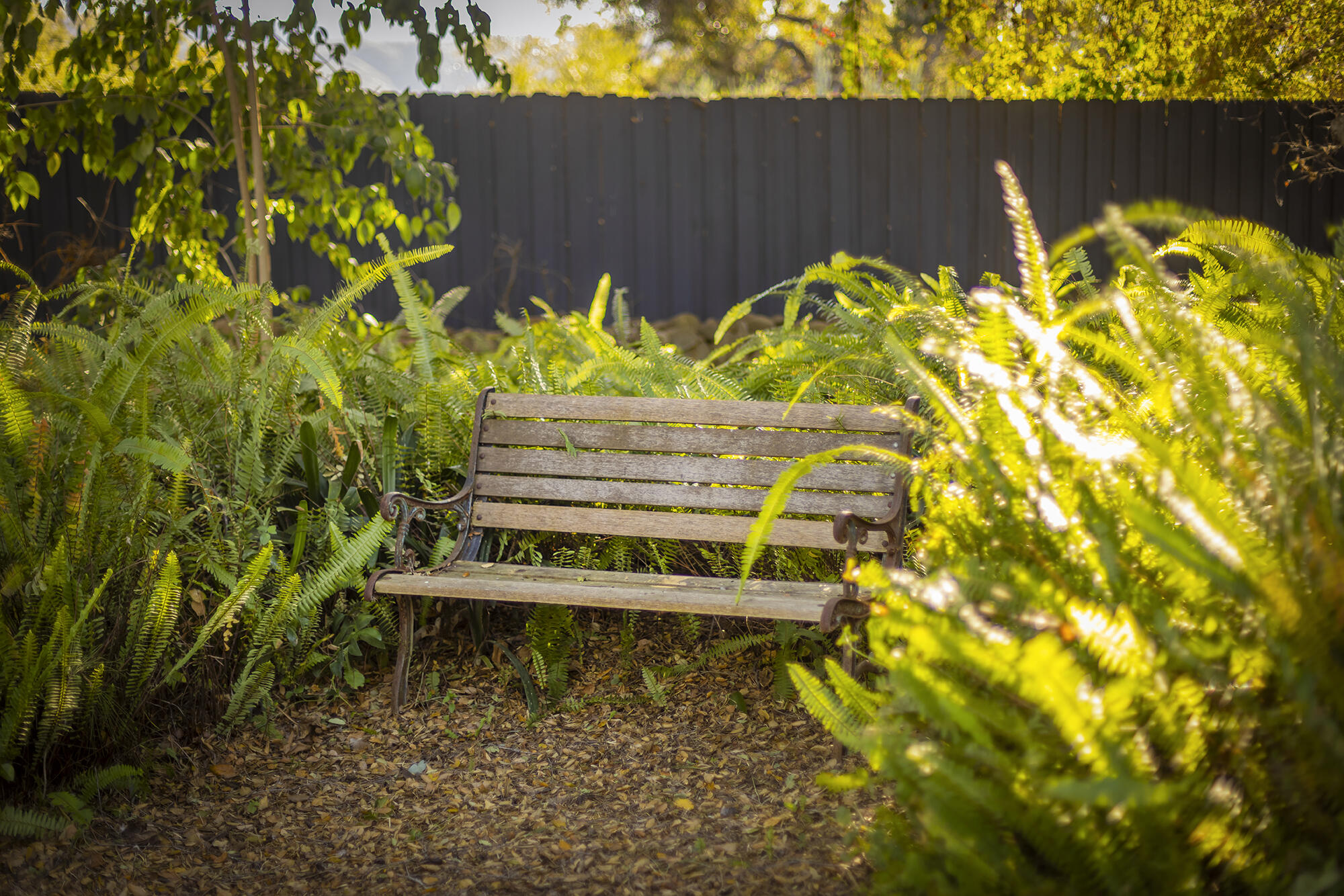 Ojai, California 93023, United States, 5 Bedrooms Bedrooms, ,3 BathroomsBathrooms,Residential,Active,14154