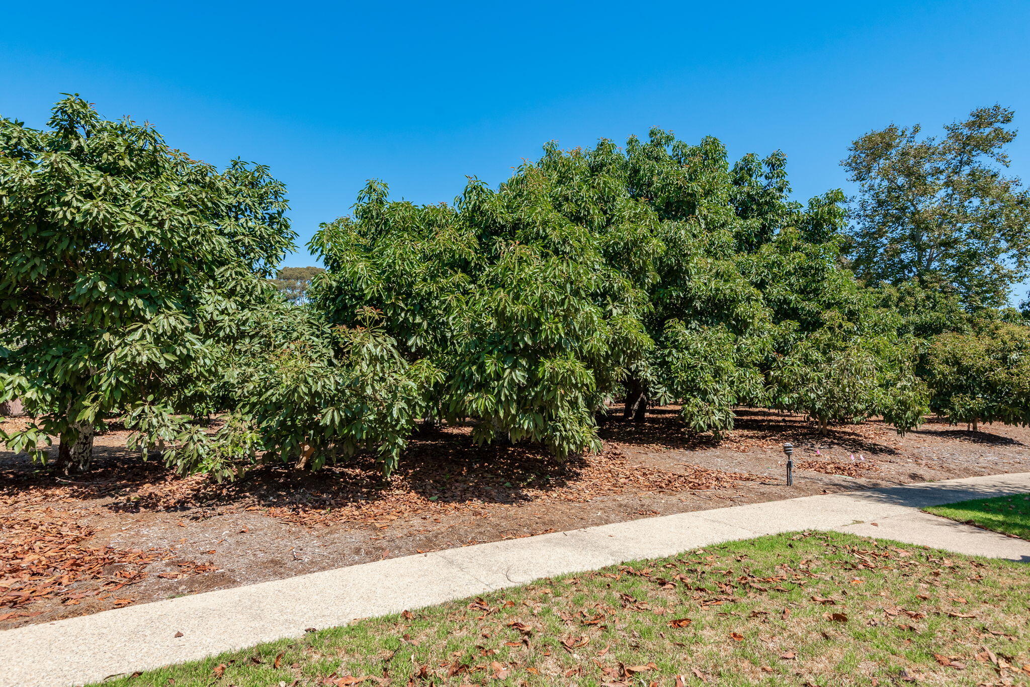 Santa Barbara, California 93111, United States, 4 Bedrooms Bedrooms, ,3 BathroomsBathrooms,Residential,Coming Soon,230461