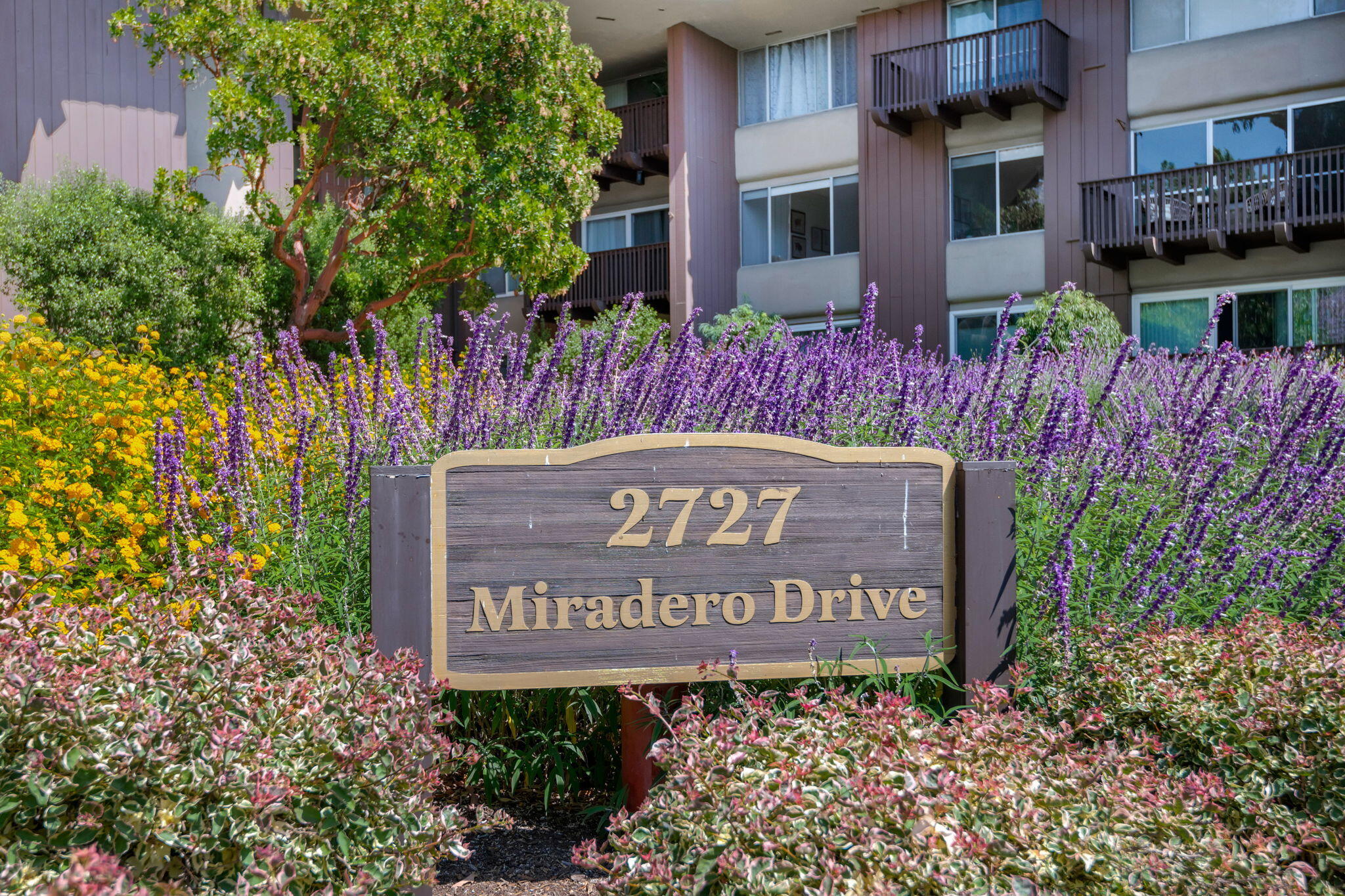2727 Miradero Drive Apt 213