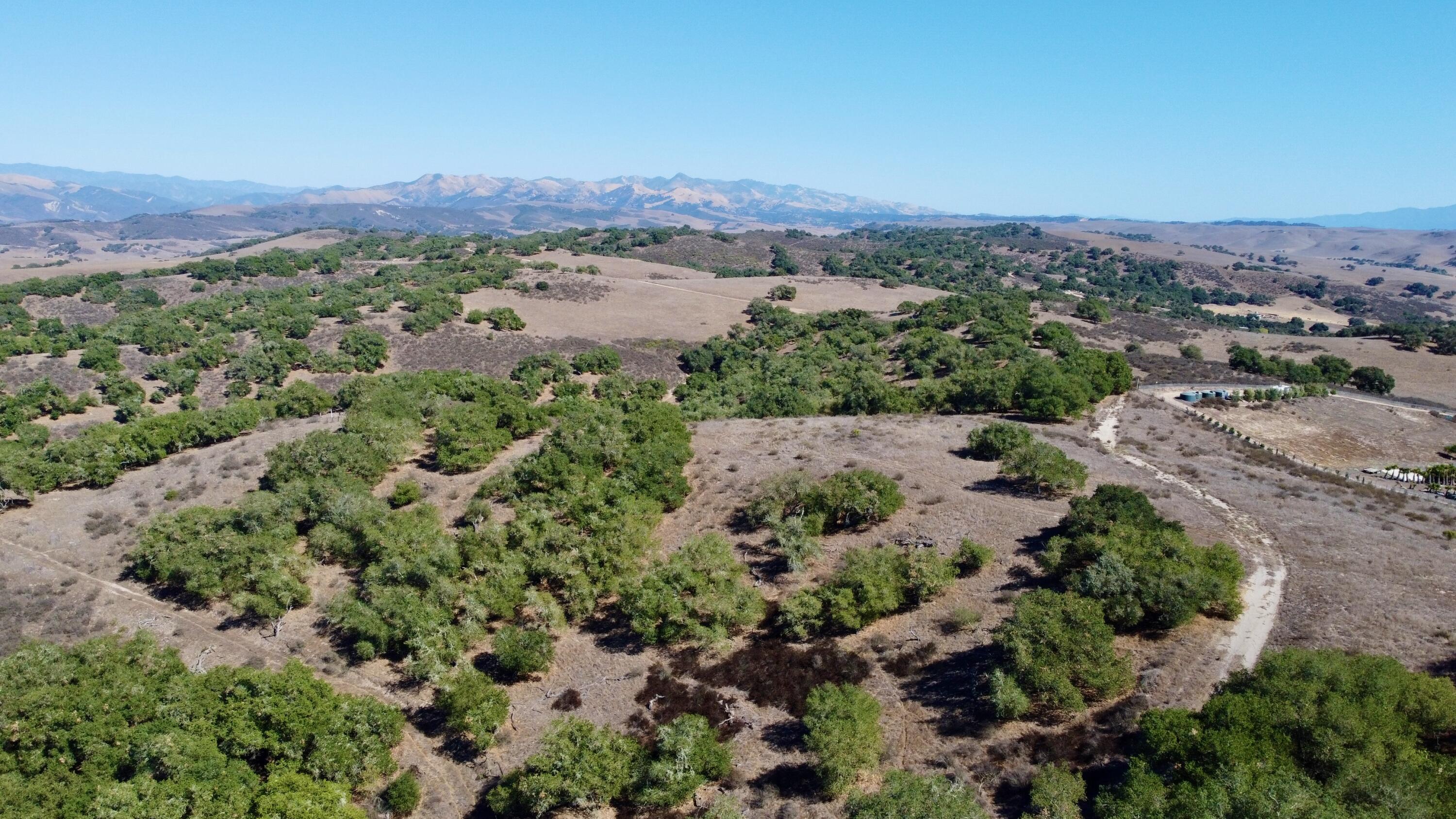 Santa Maria, California 93454, United States, ,Land,Active,206416