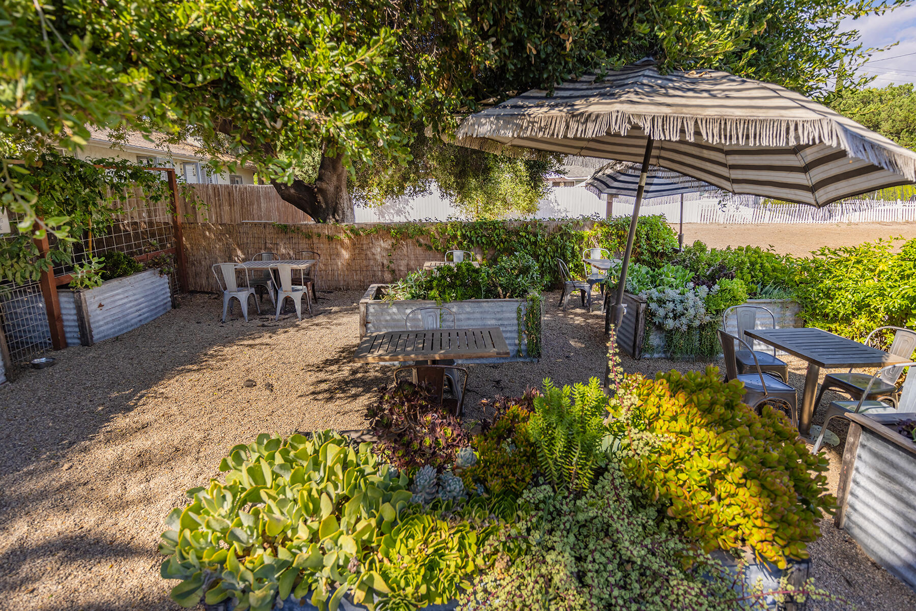 Ojai, California 93023, United States, ,Commercial,Active,129229