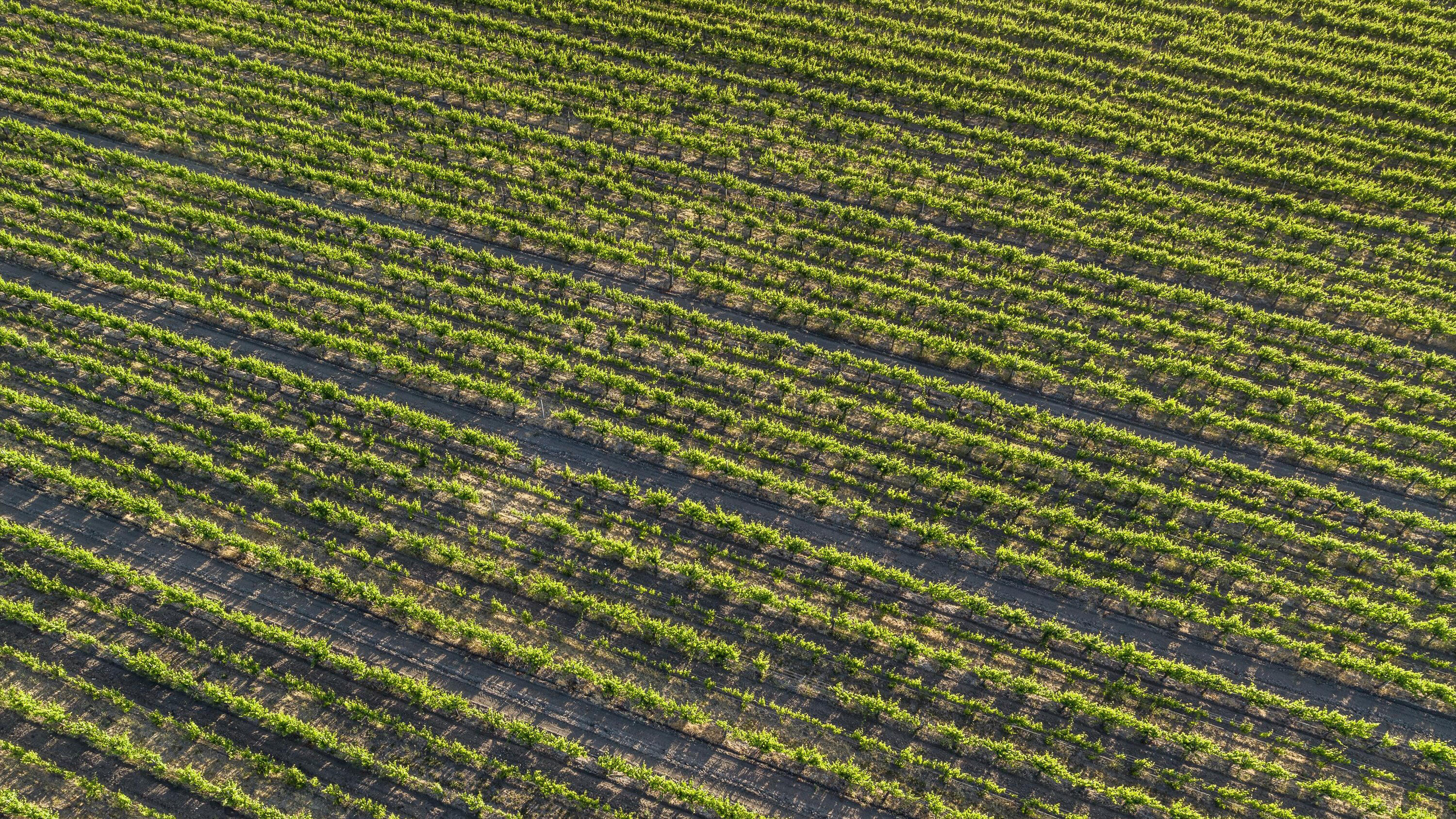 Los Alamos, California 93436, United States, ,Commercial,Active,152846