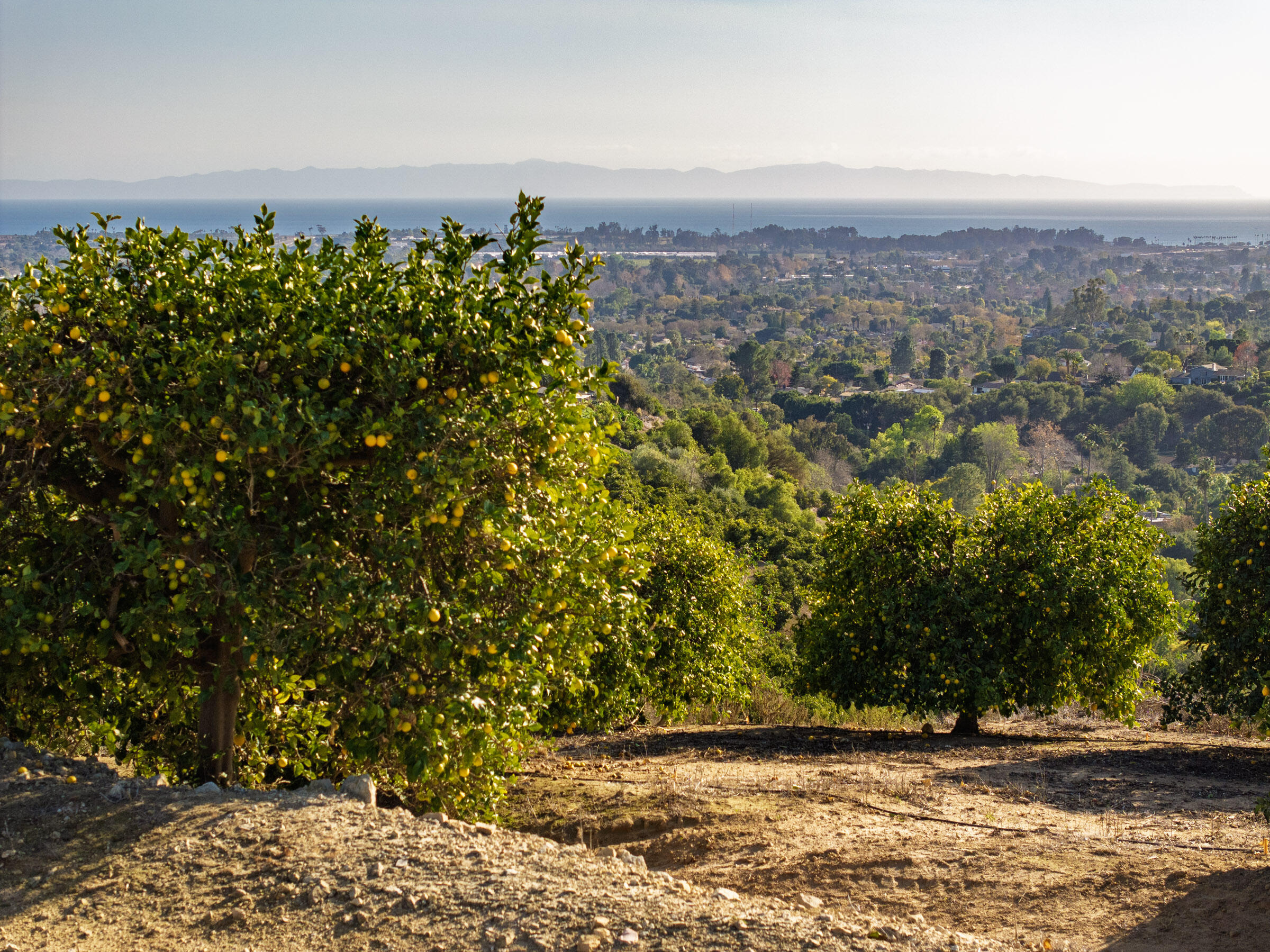 Santa Barbara, California 93111, United States, ,Commercial,Active,11258