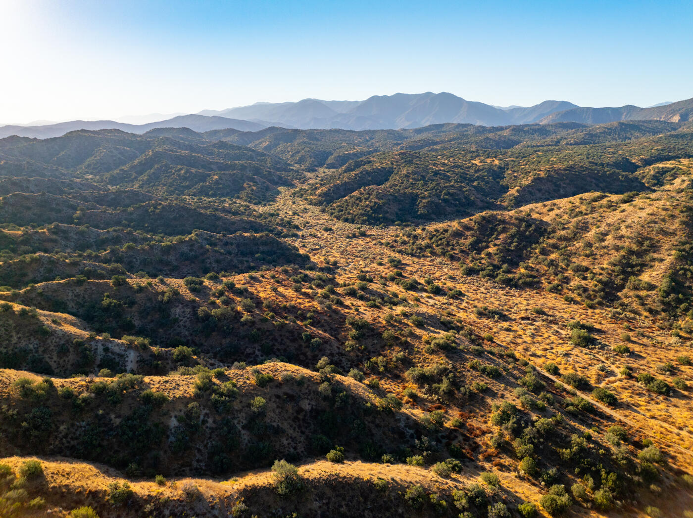 Cuyama, California 93254, United States, ,Commercial,Active,157249