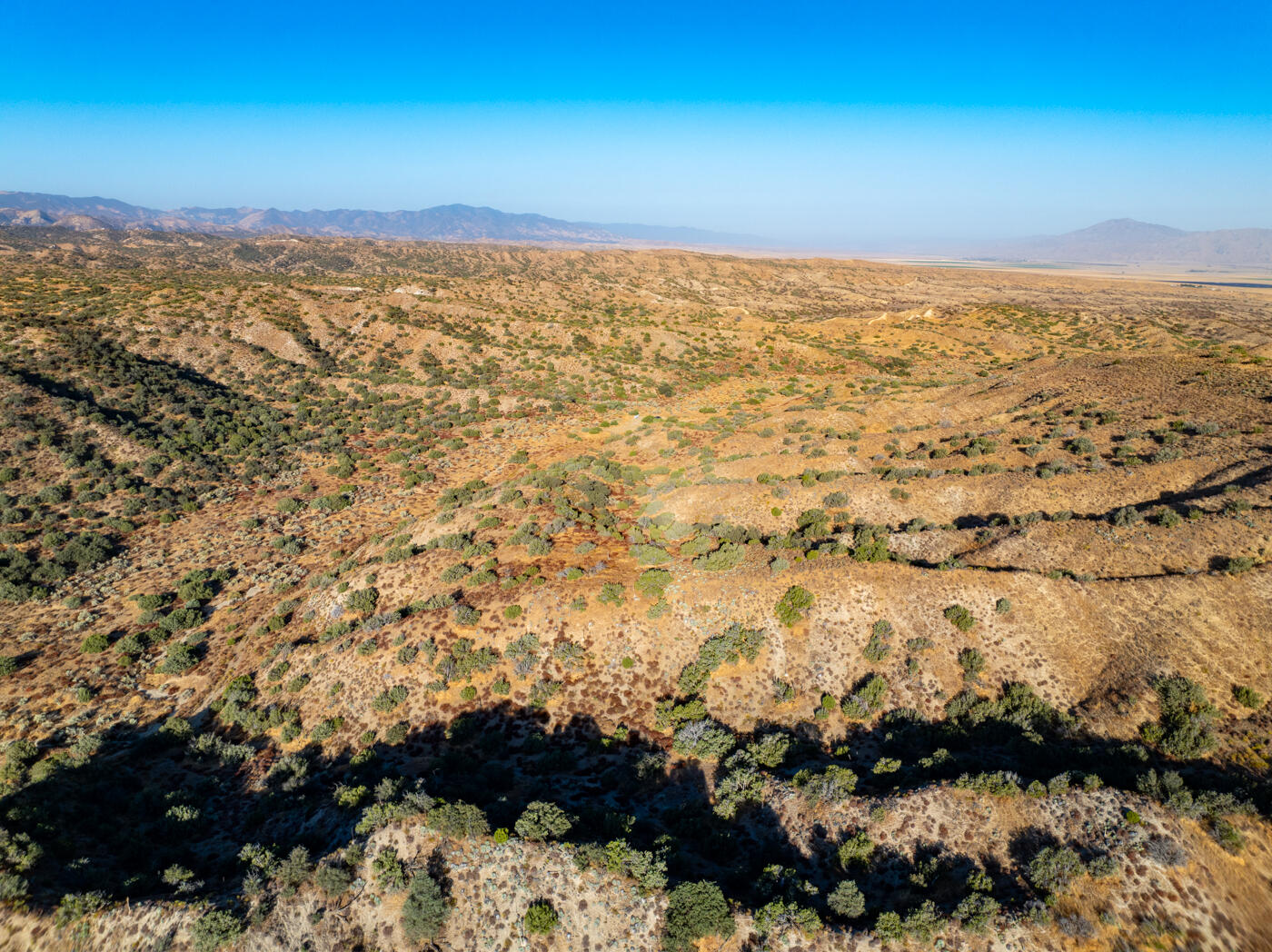 Cuyama, California 93254, United States, ,Commercial,Active,157249