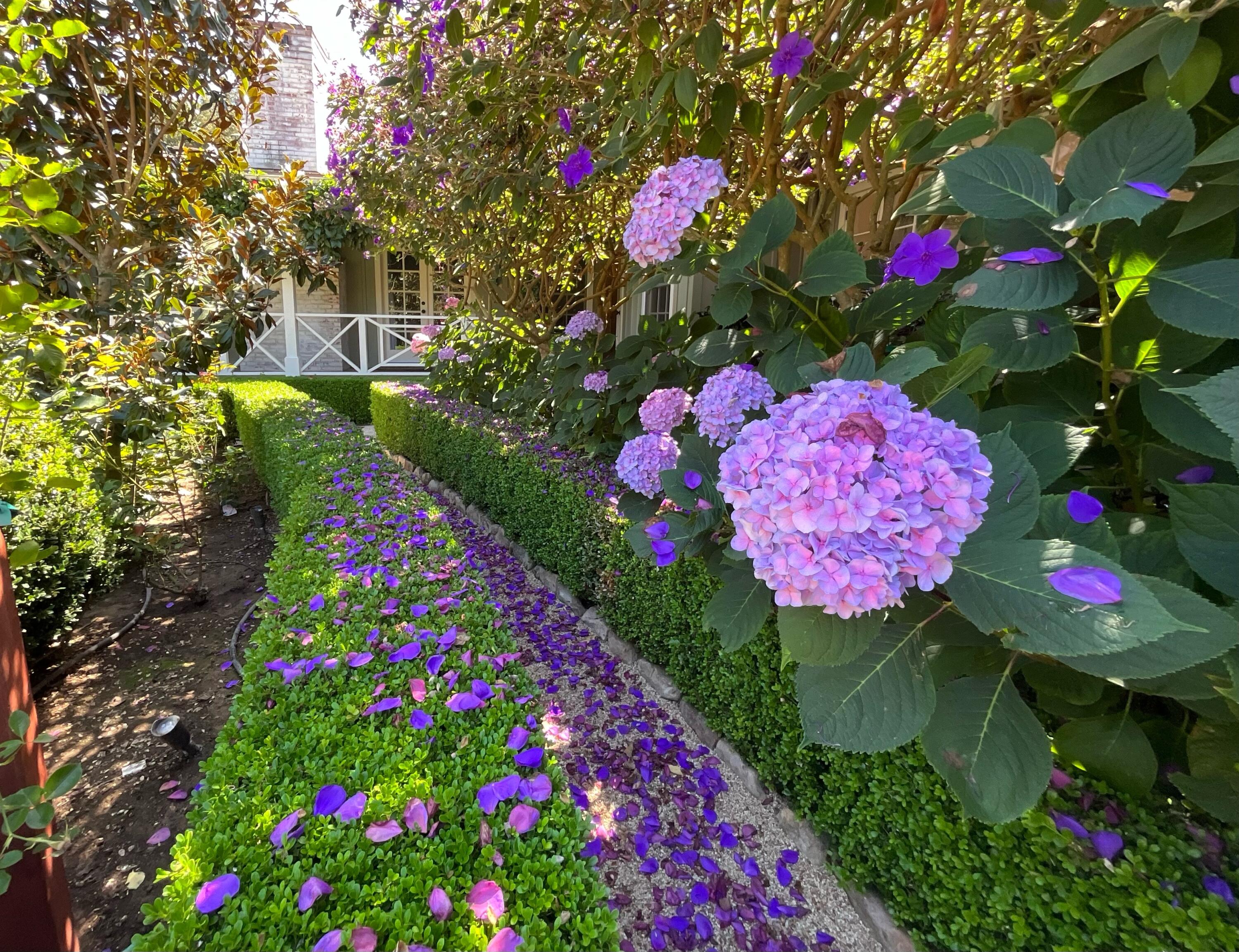 Santa Barbara, California 93108, United States, 5 Bedrooms Bedrooms, ,5 BathroomsBathrooms,Residential,Active,129224